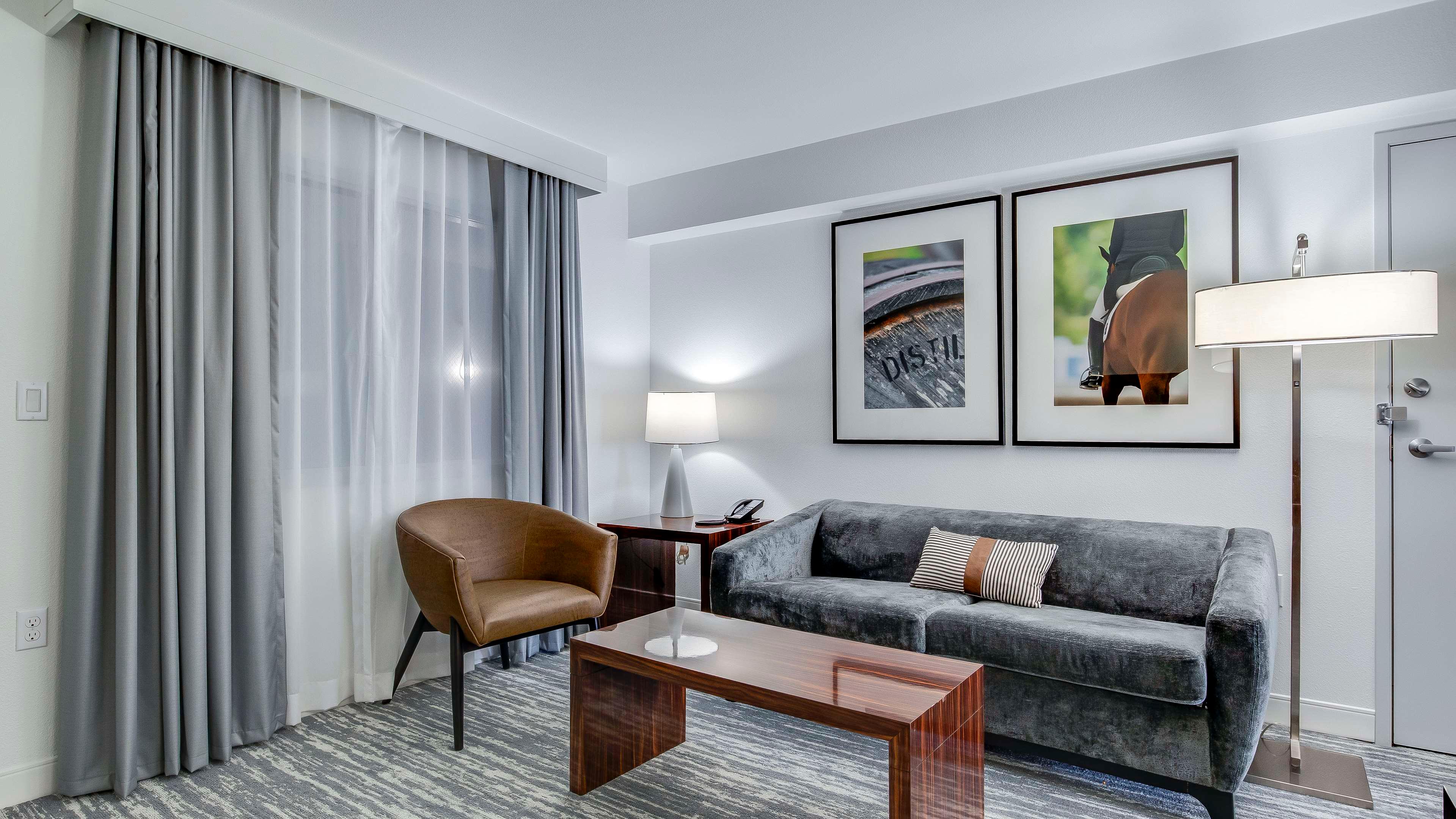 Suite King Bed Non Smoking