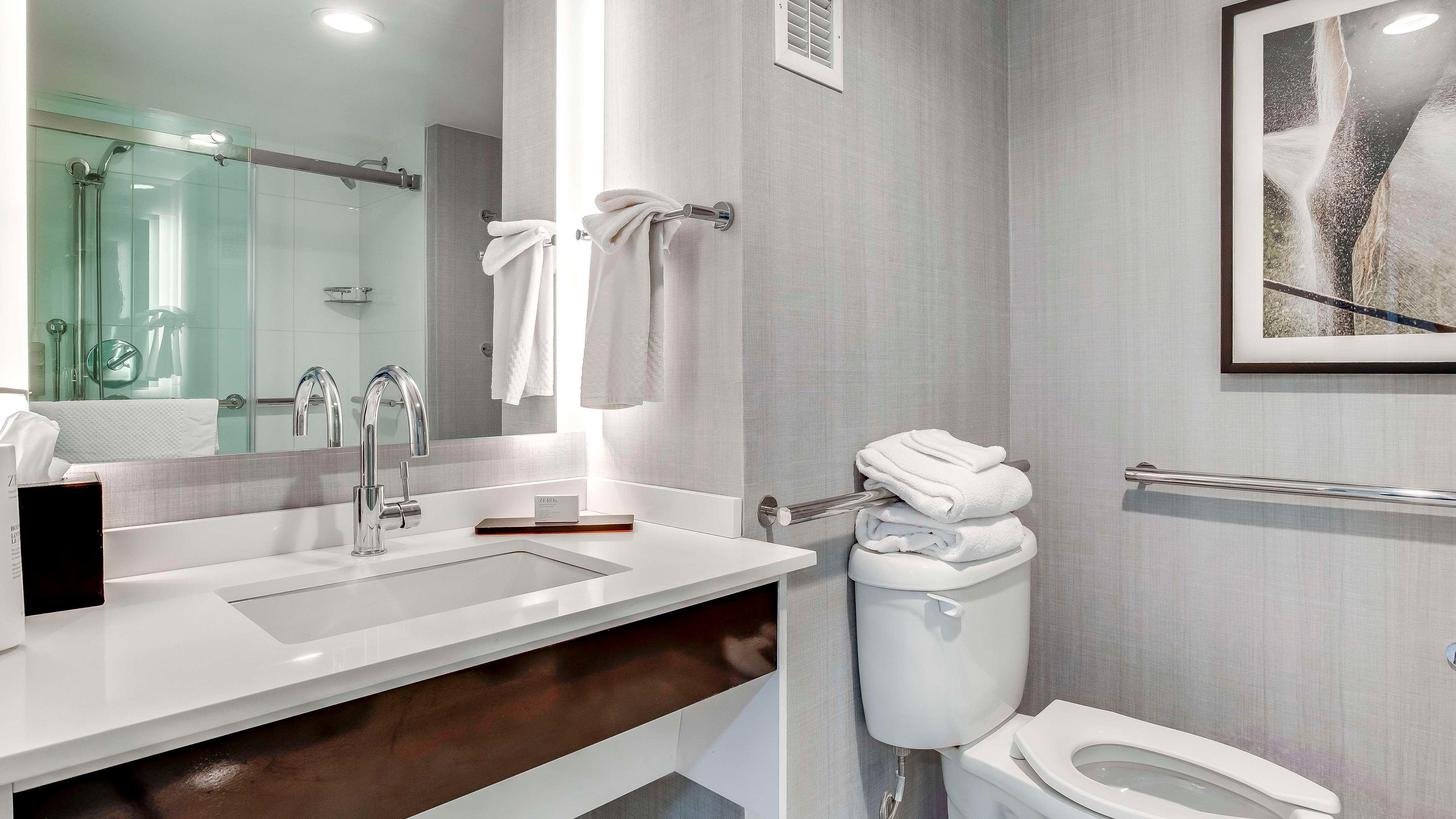 Suite King Bed Non Smoking