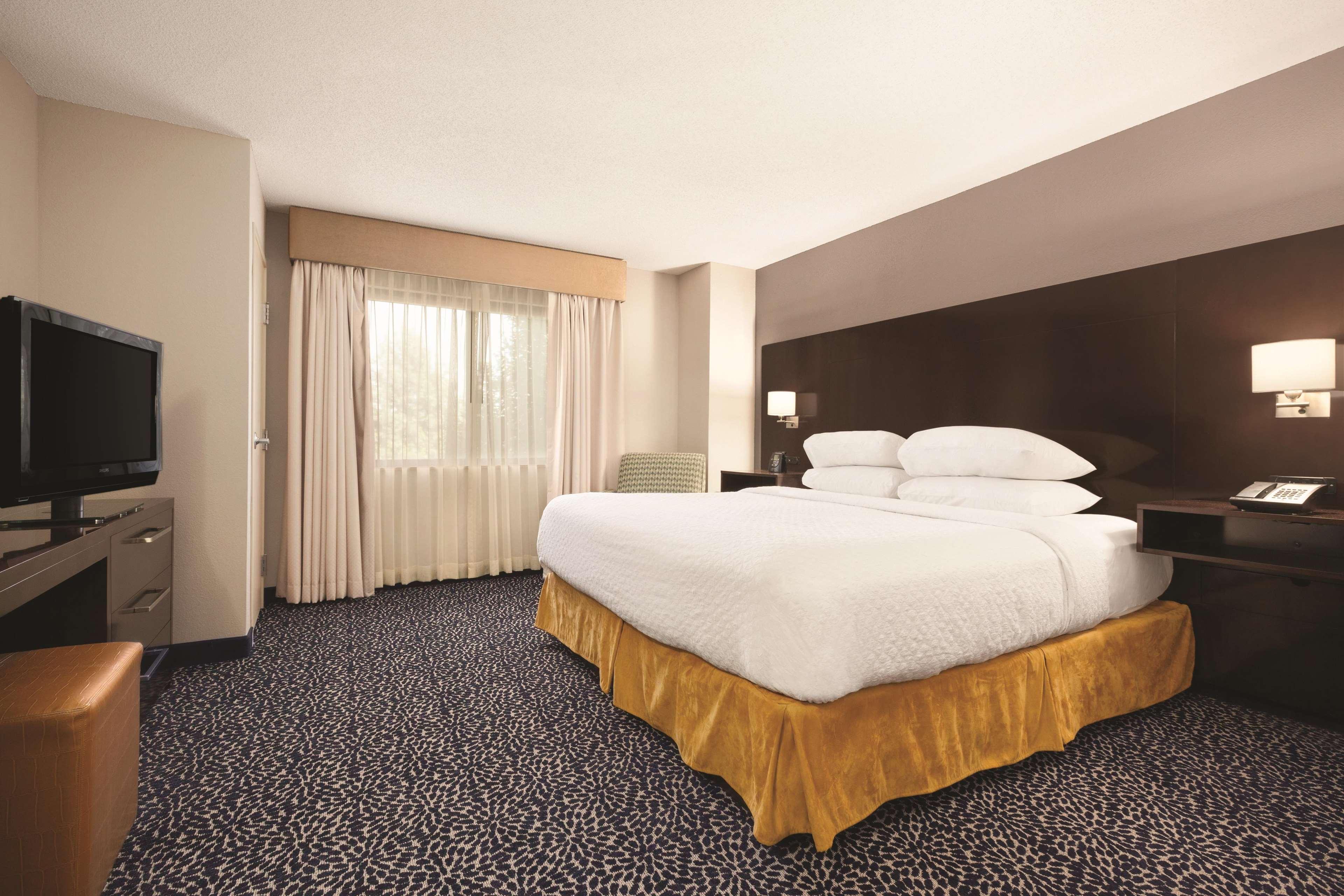 Suite Executive King Bed