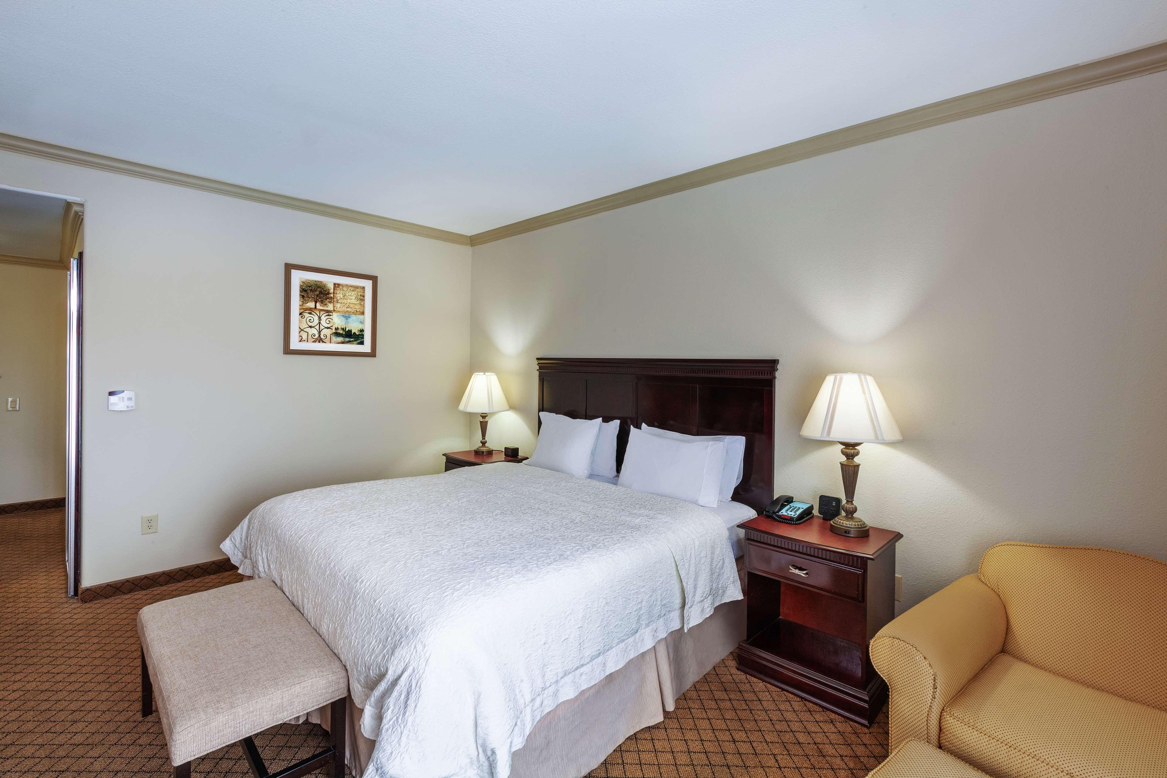 Suite King Bed Non Smoking