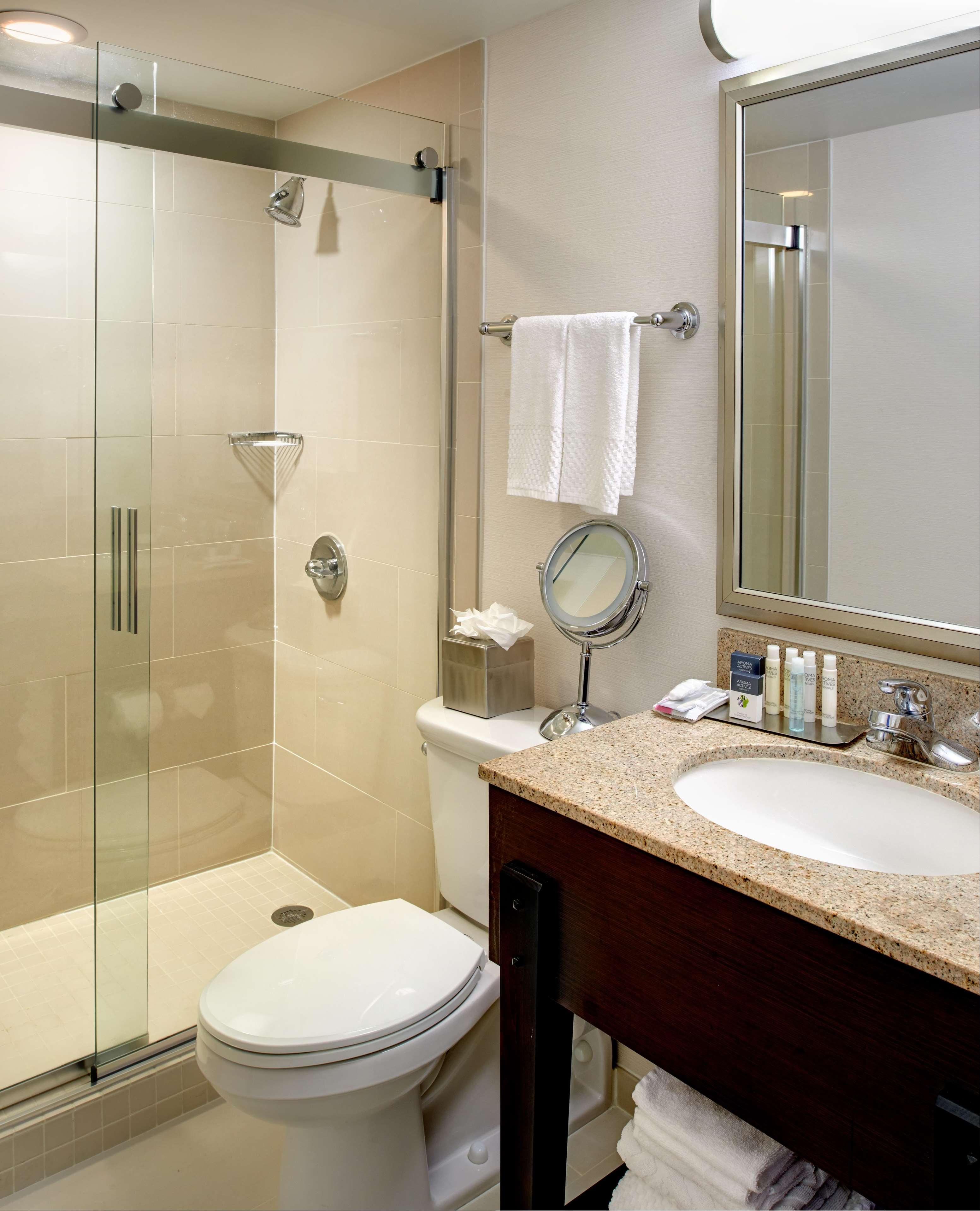 Suite King Bed One Bedroom 