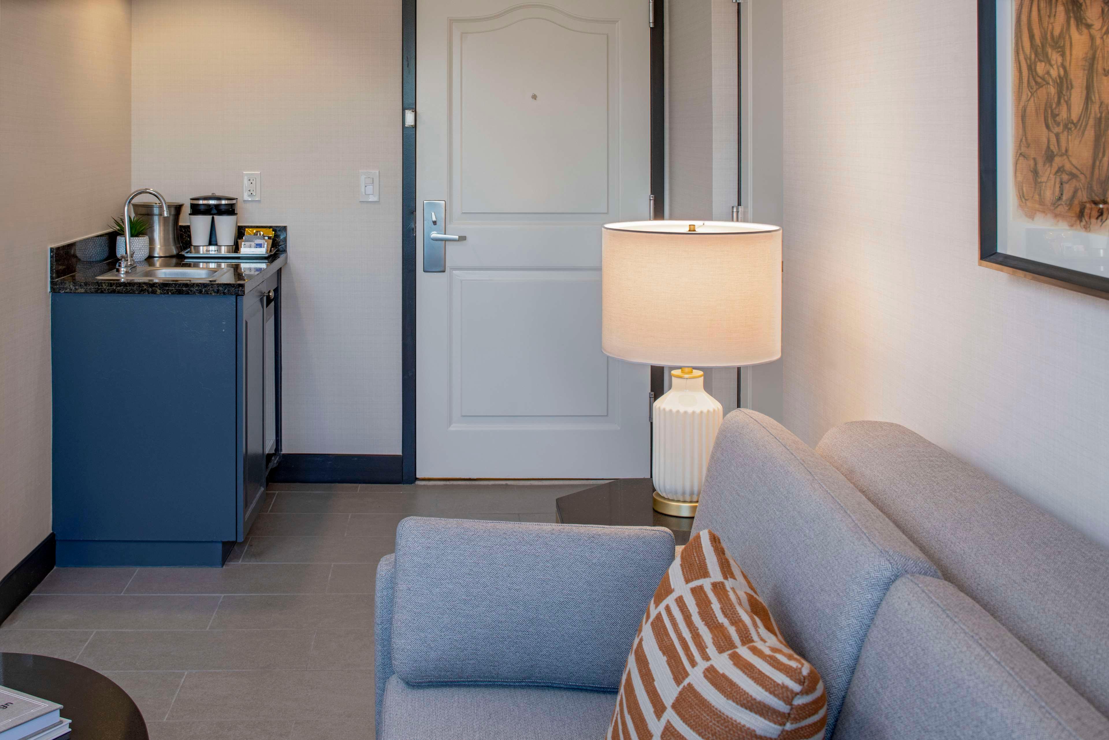 Suite King Bed One Bedroom 