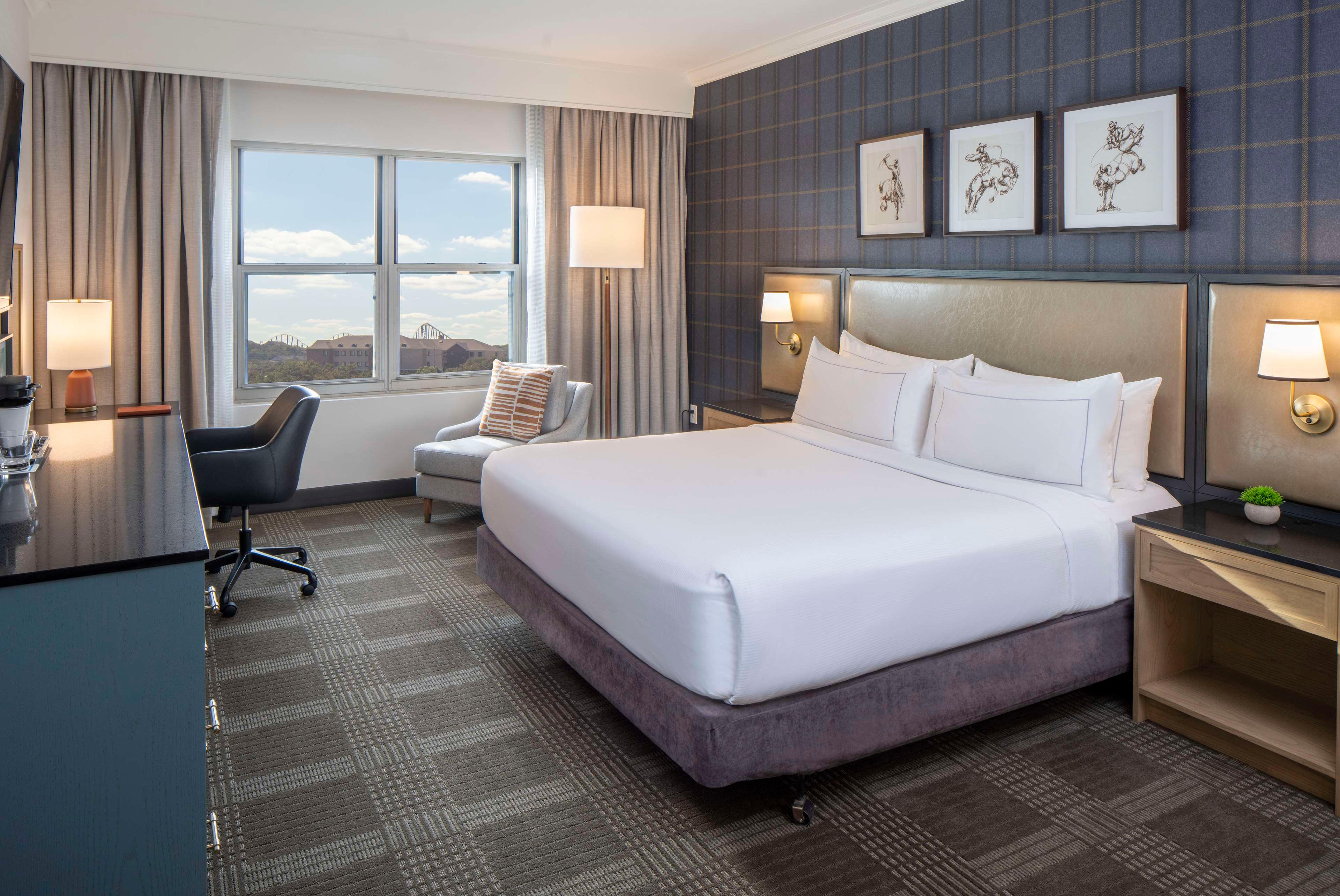 Suite King Bed One Bedroom 