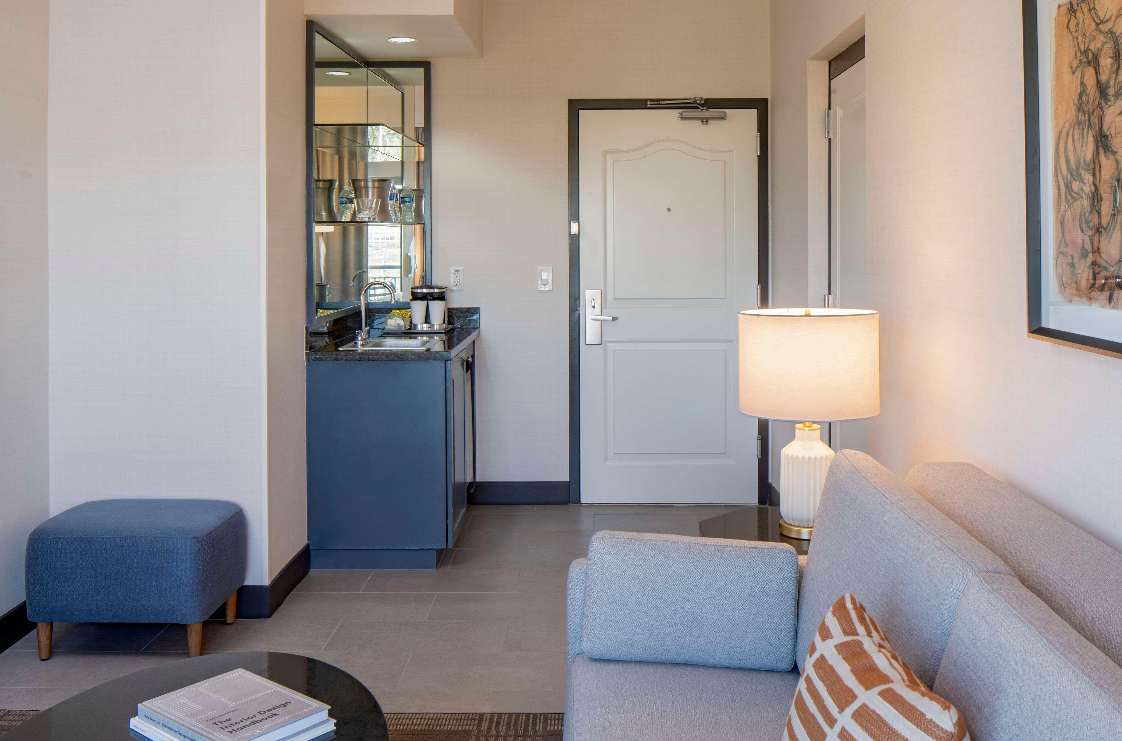 Suite King Bed One Bedroom 