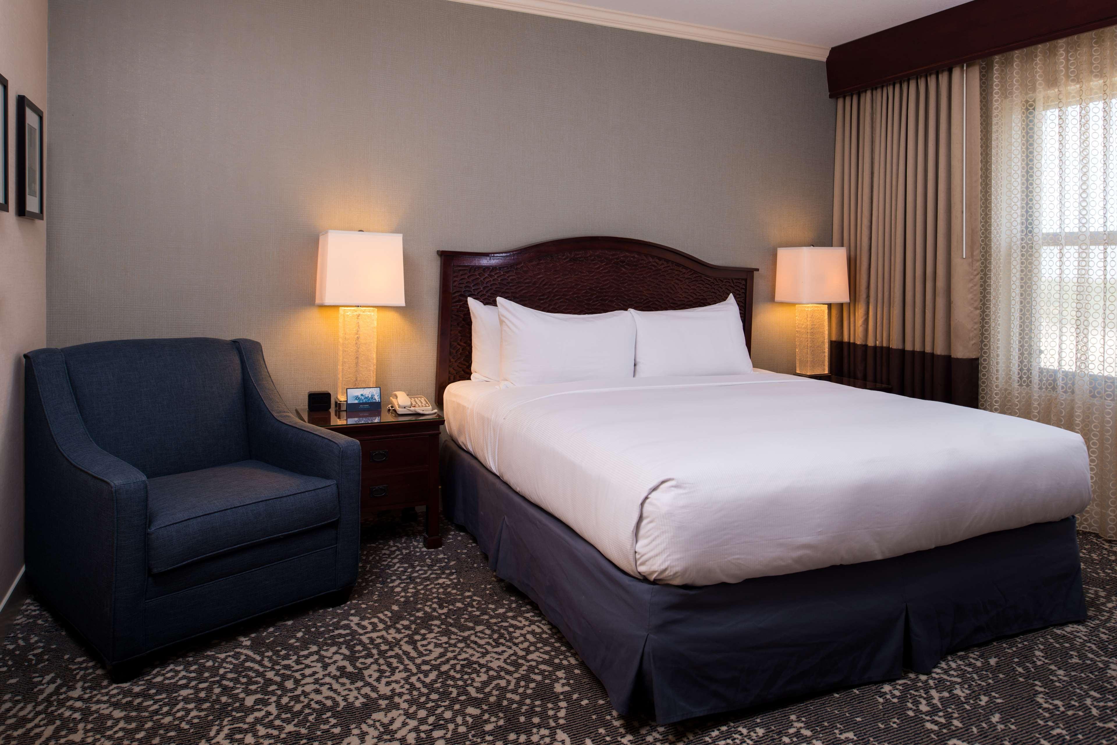 Double Accessible King Size Bed