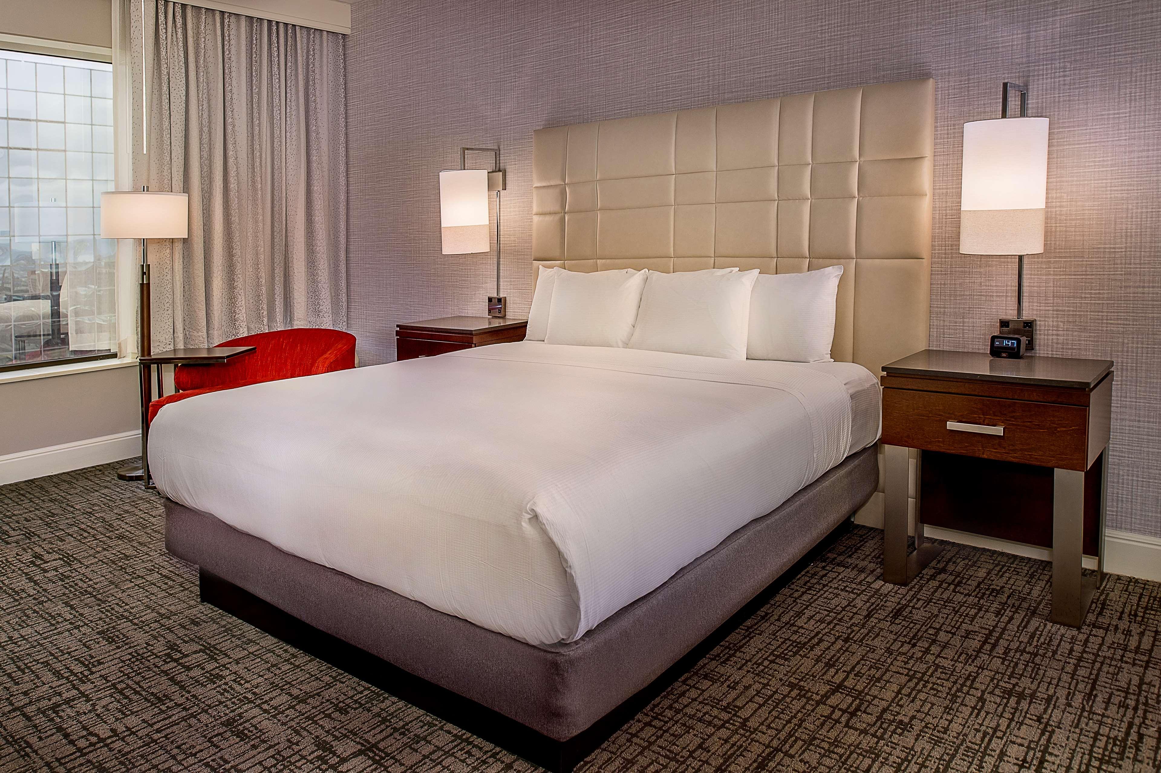 Suite King Bed One Bedroom 