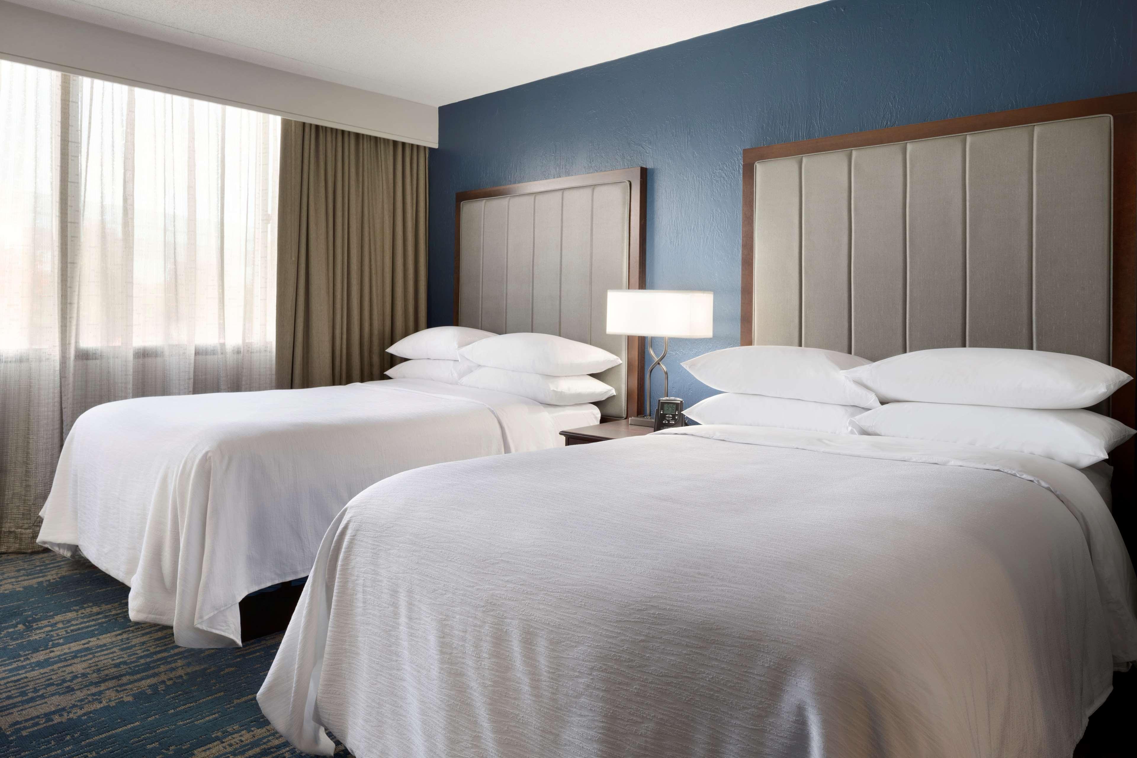 Suite One Bedroom Accessible