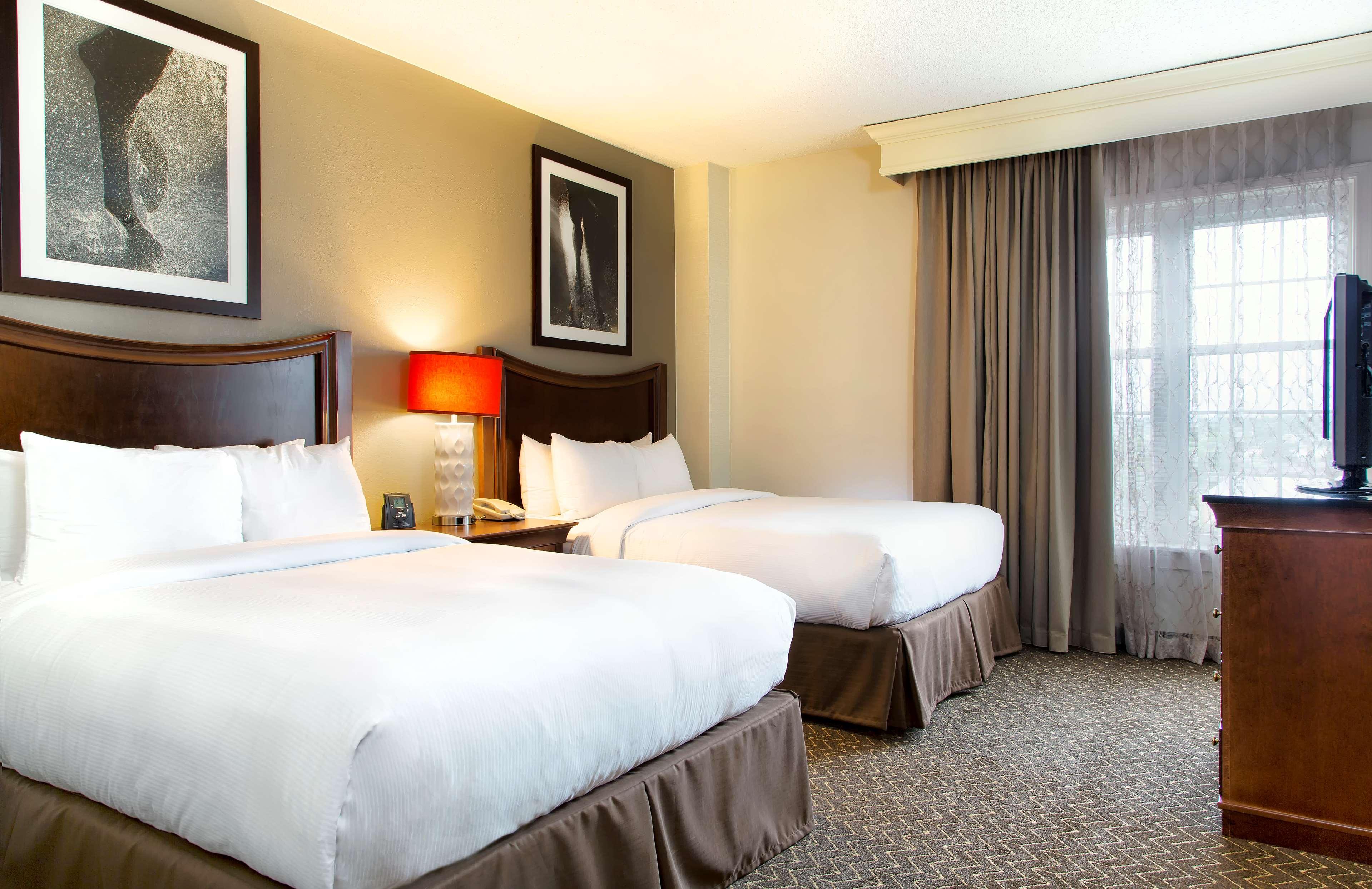 Double Two Queen Beds