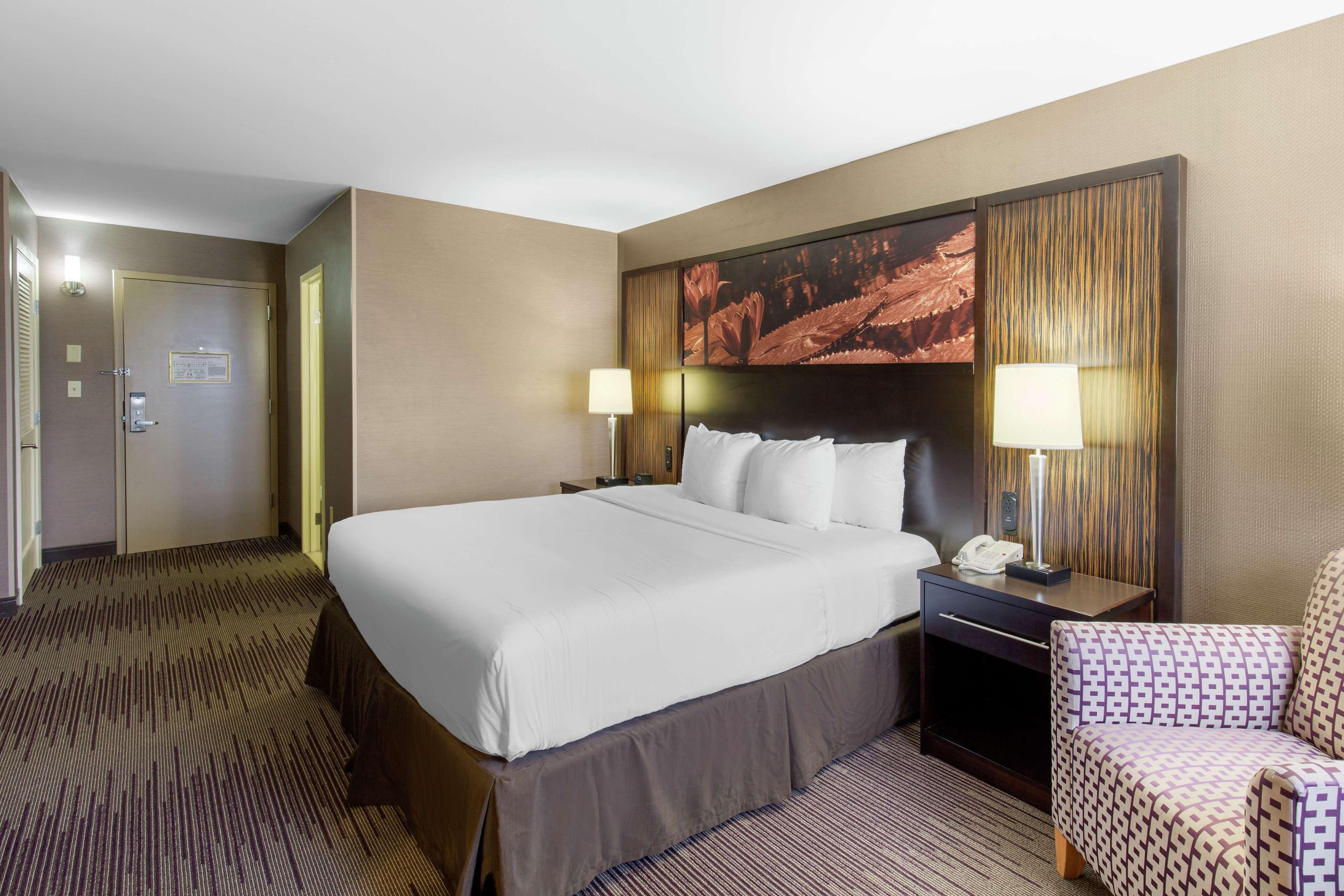 Double Executive King Bed