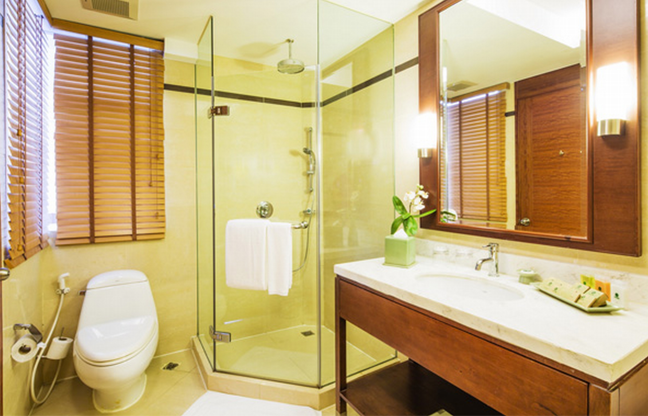 Double or Twin Executive