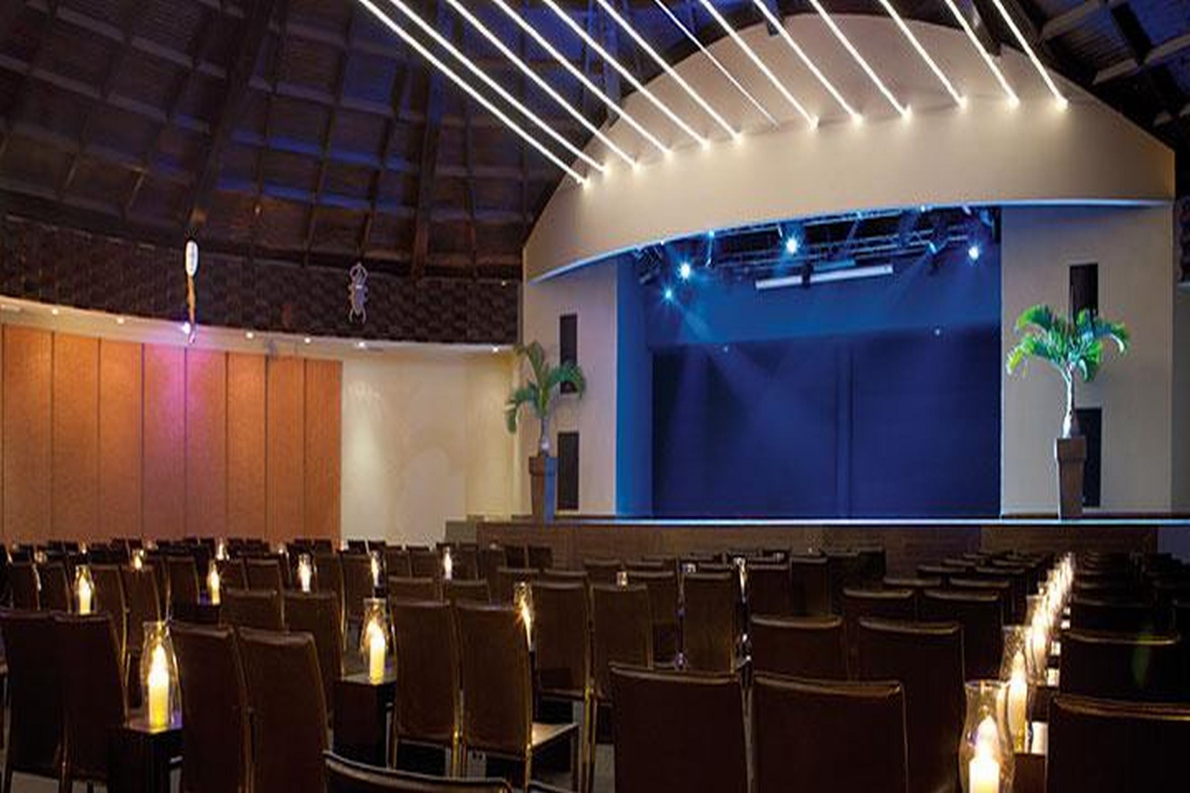 Sports and Entertainment