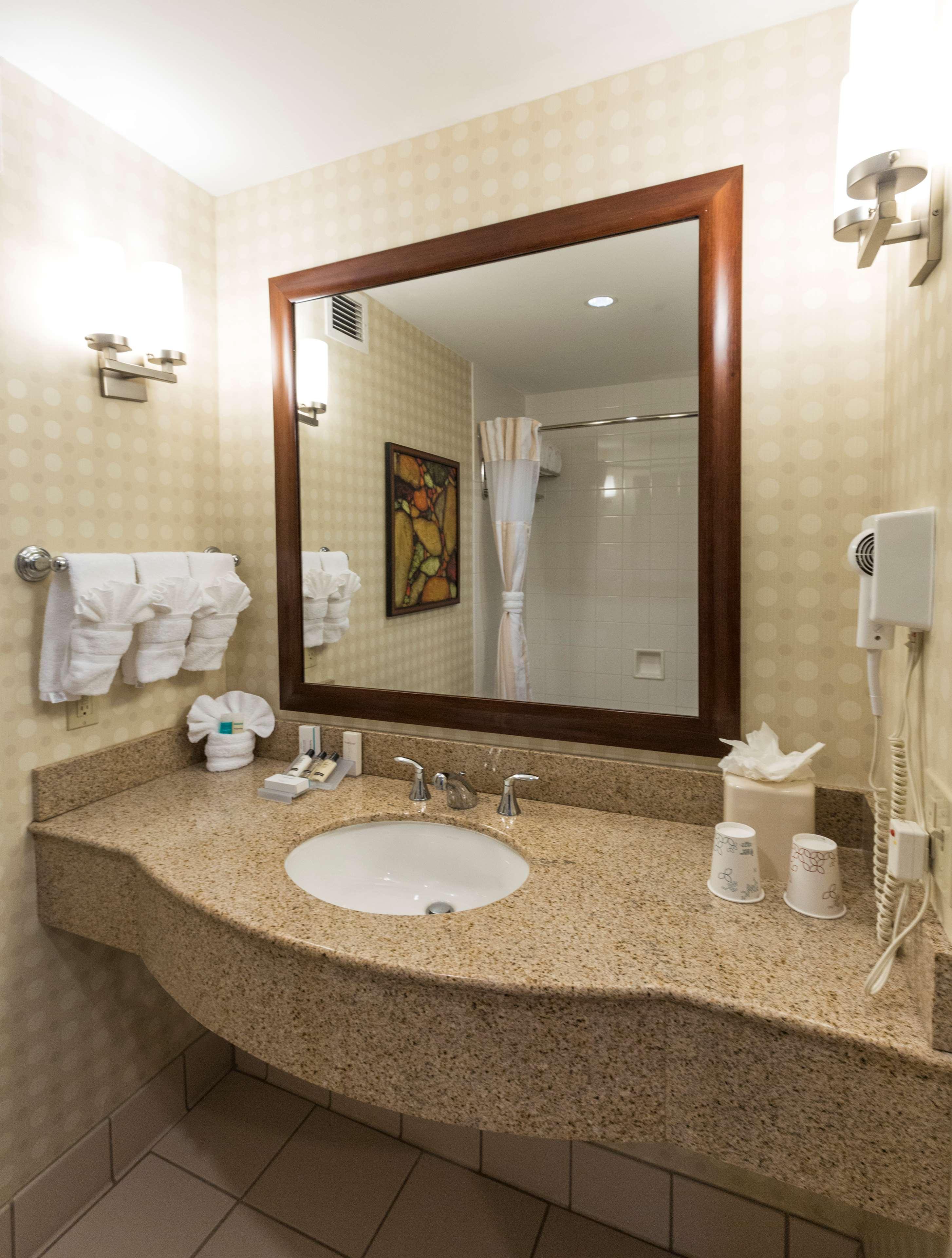 Suite King Bed One Bedroom 