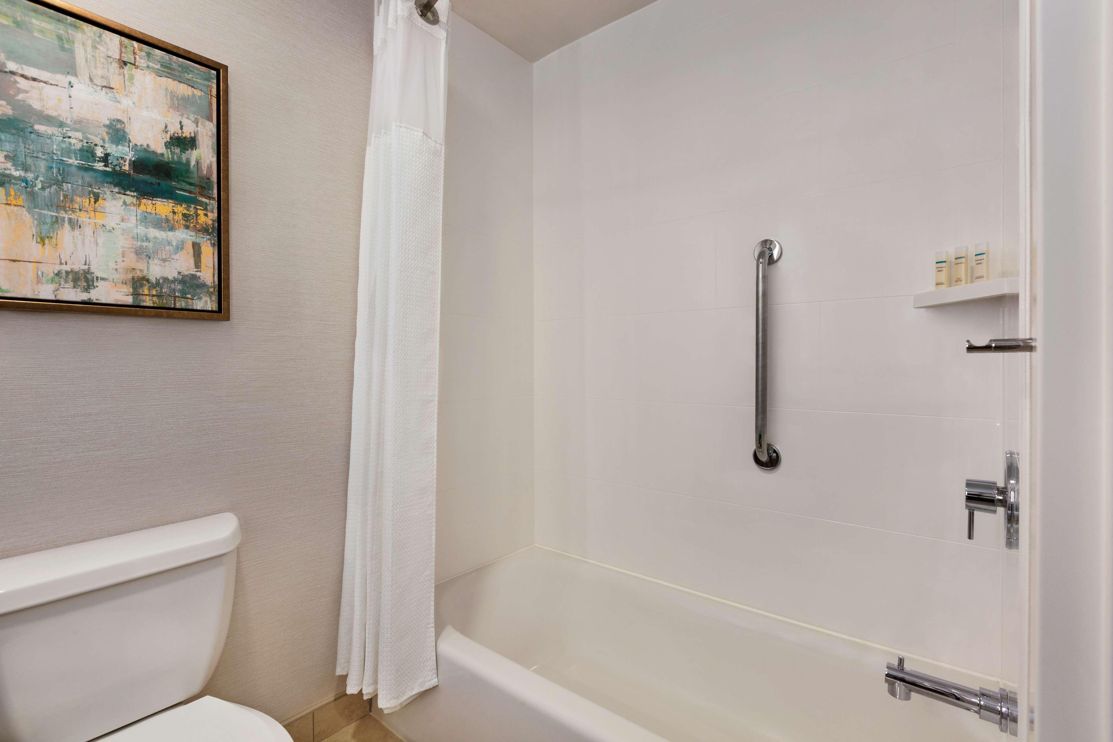 Suite King Bed One Bedroom 