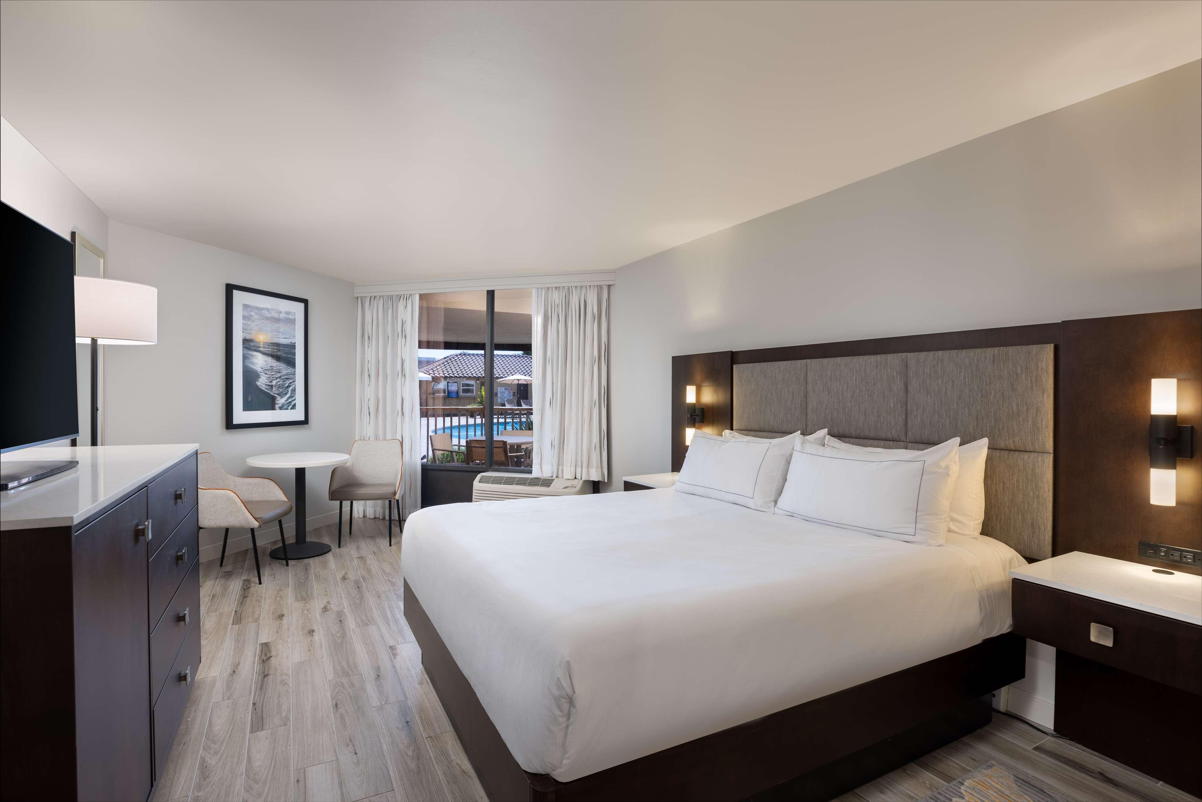 Suite King Bed One Bedroom 