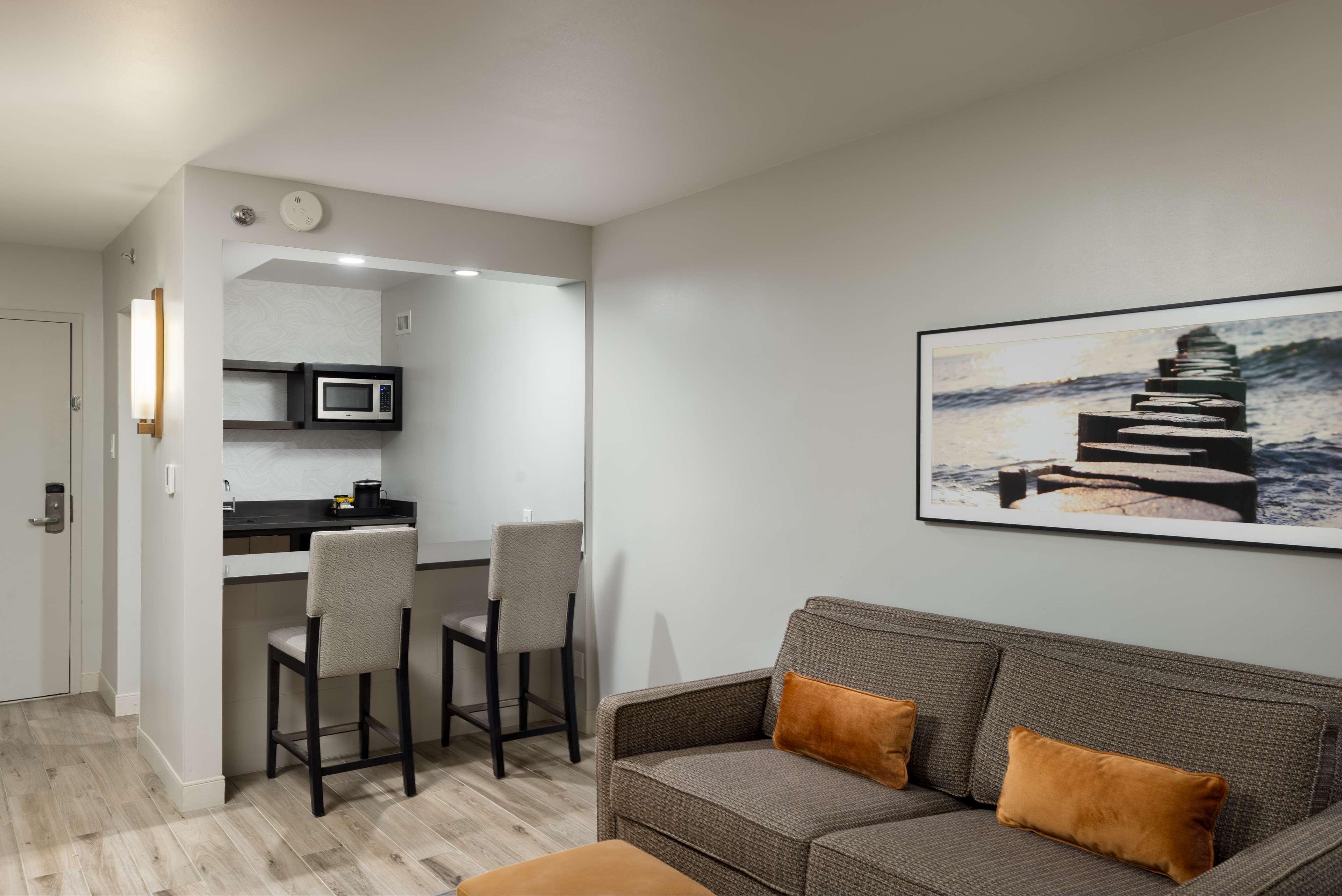 Suite King Bed One Bedroom 