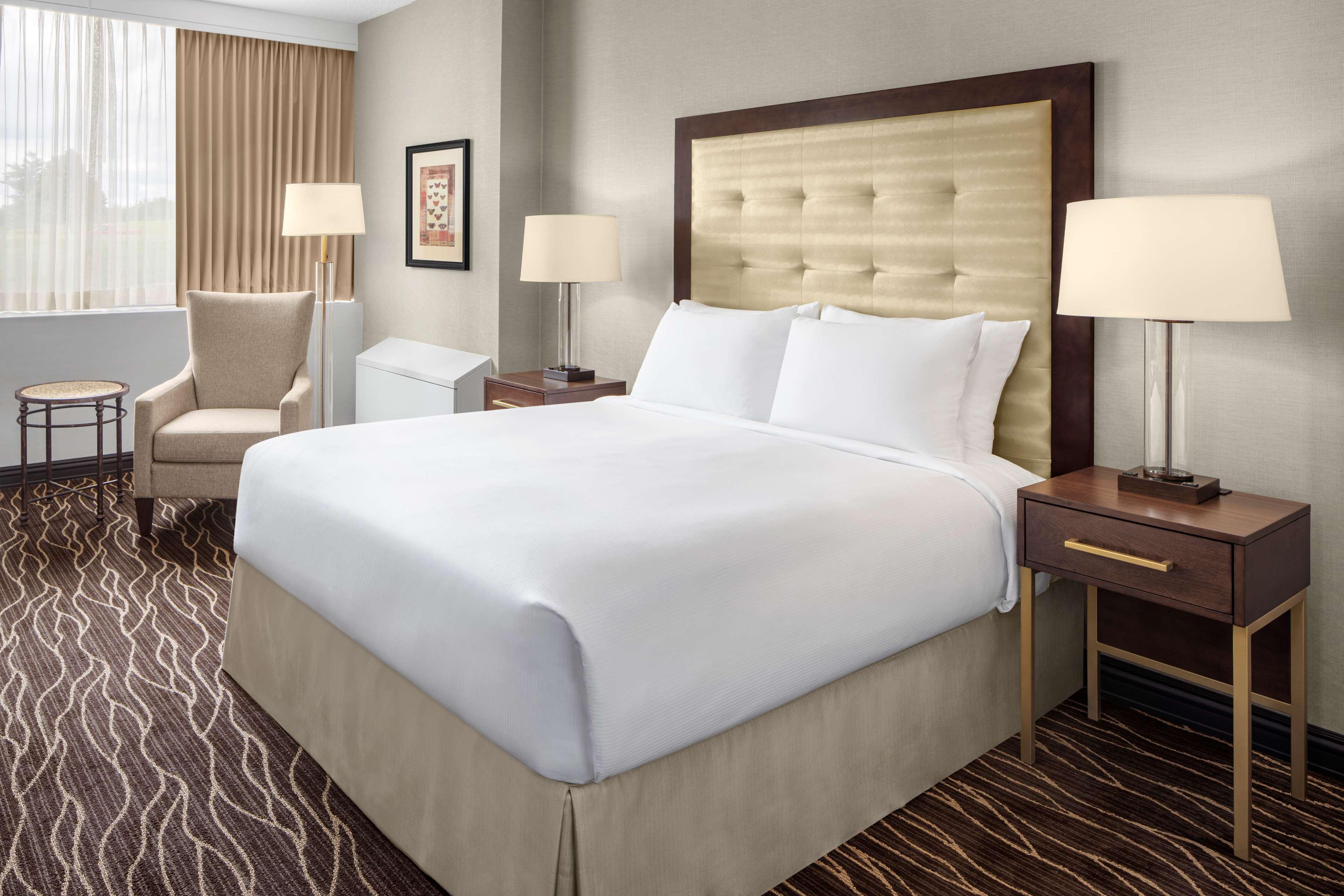 Double Queen Size Bed