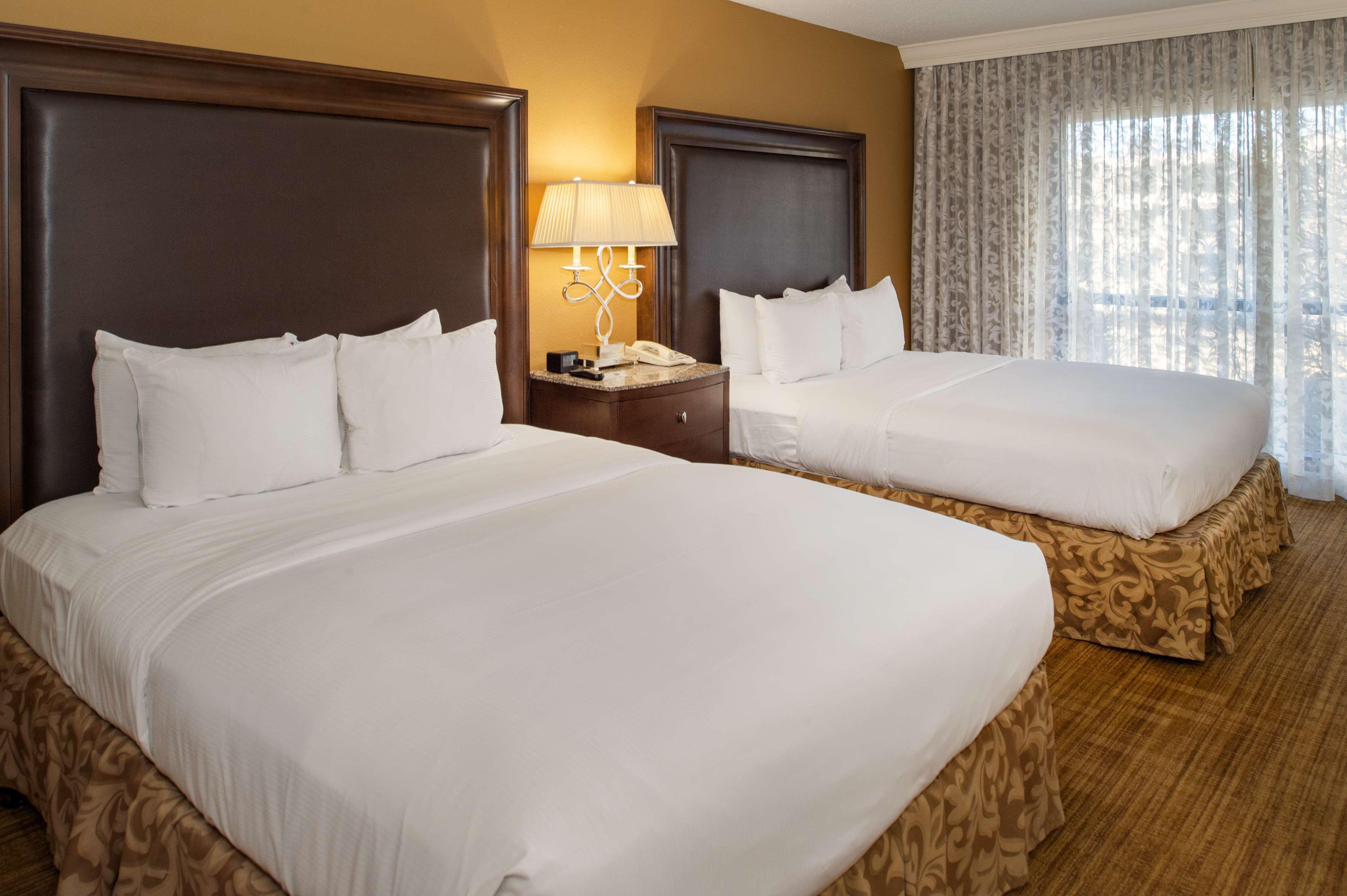 Double Queen Size Bed