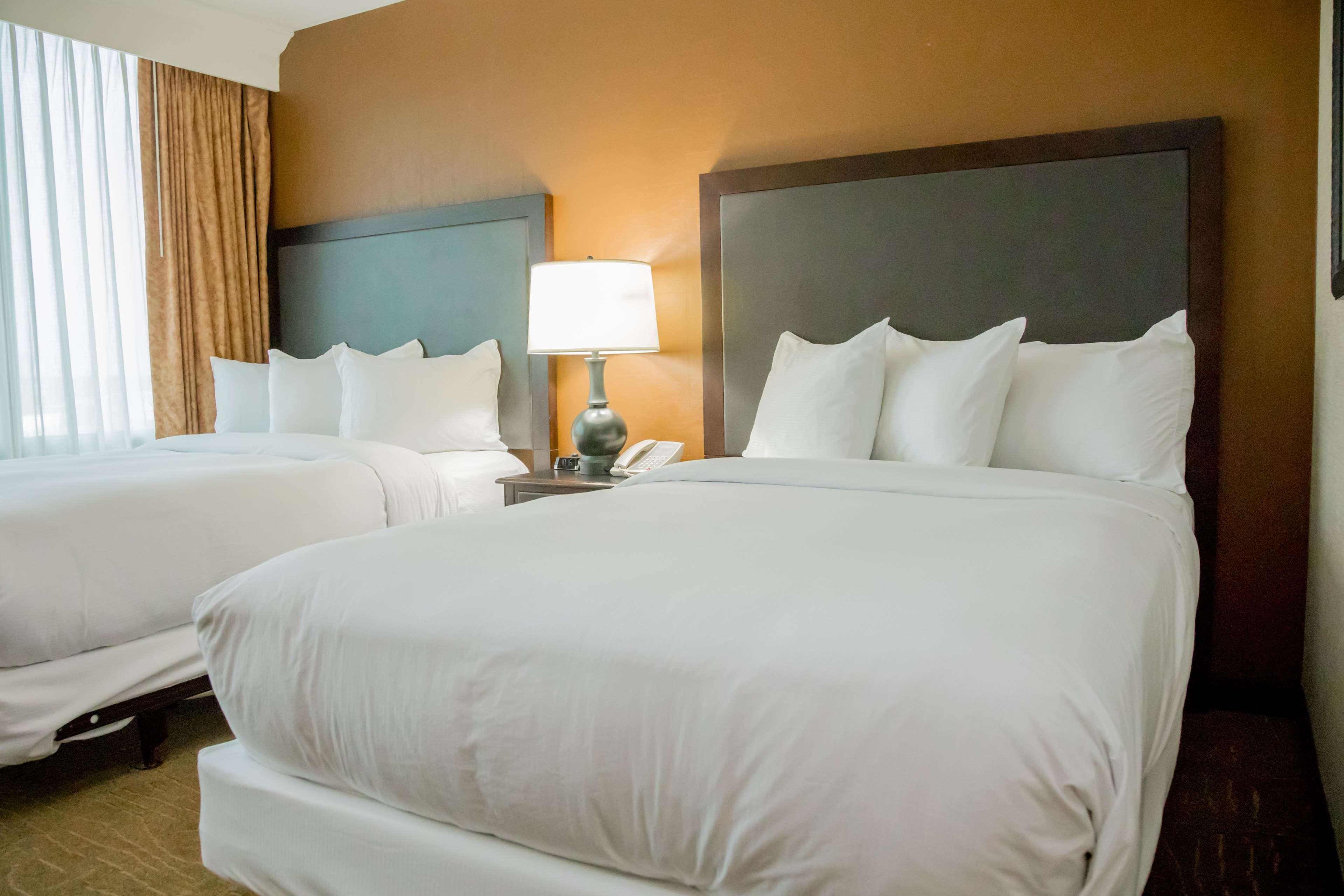 Suite Two Double Beds