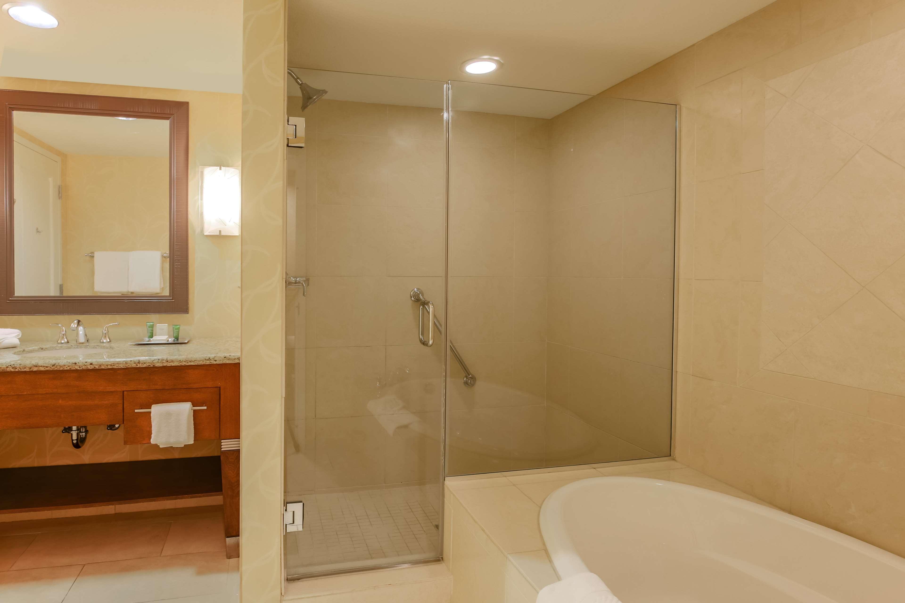 Double King Bed One Bedroom 