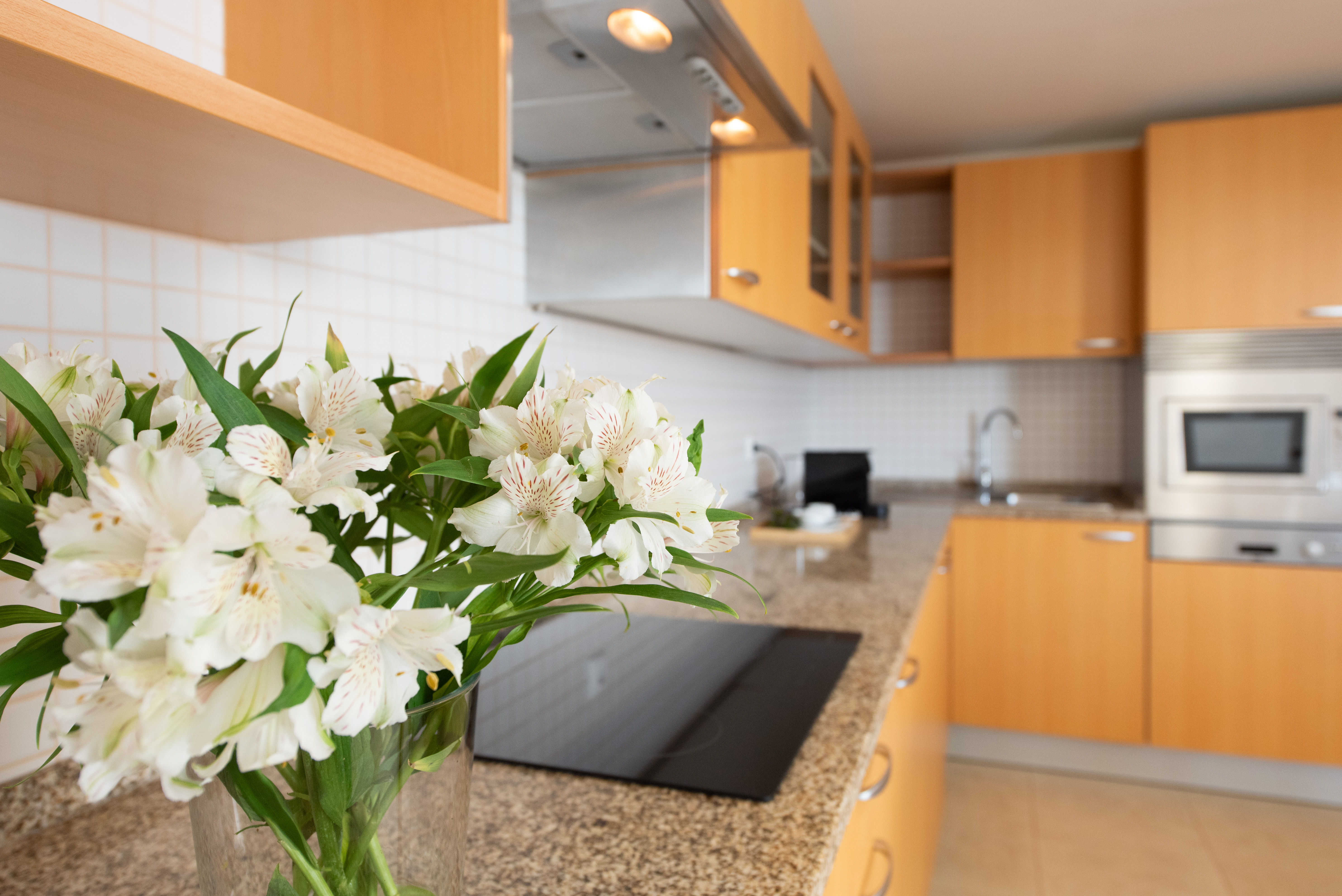 Apartment Duplex with Views