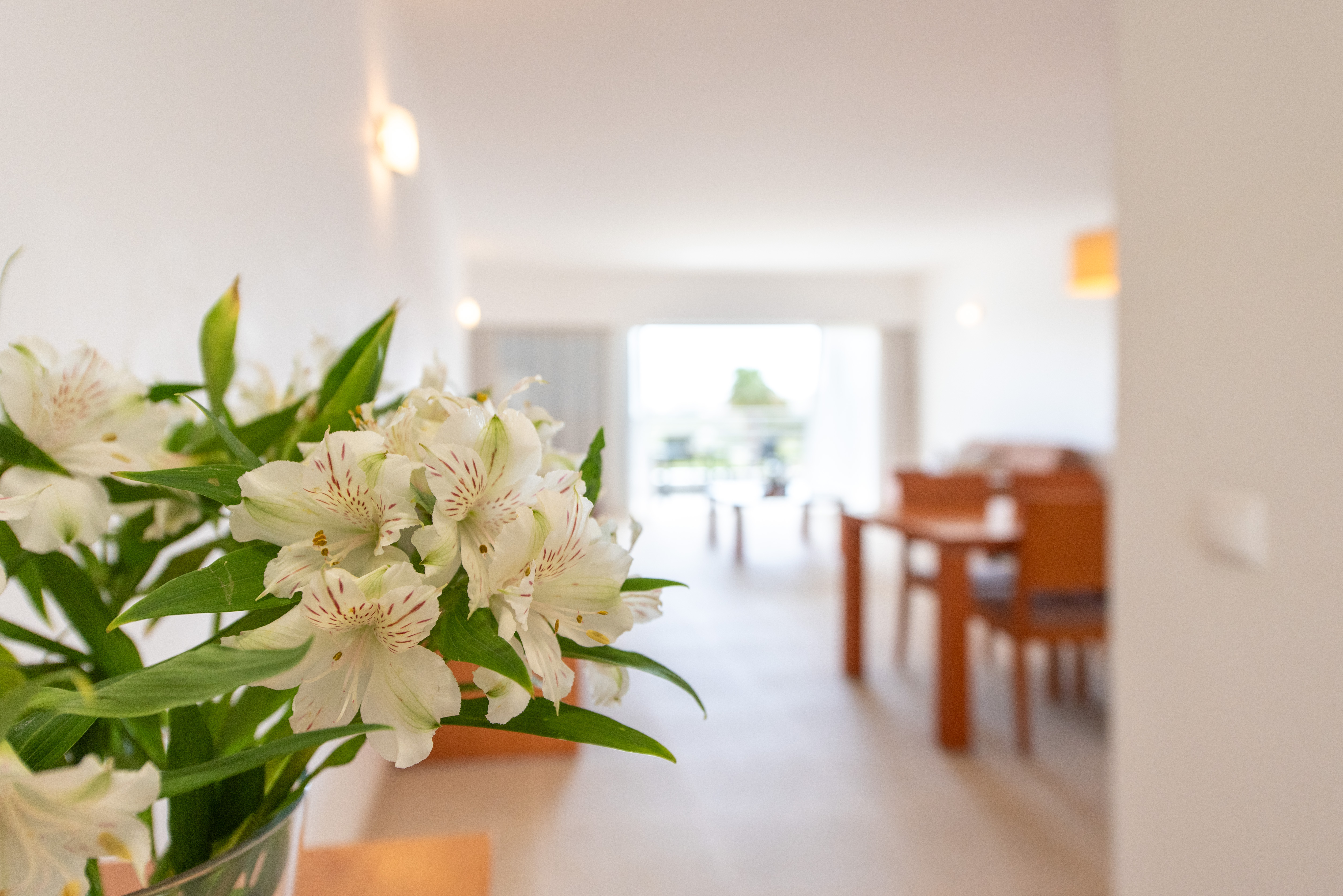 Apartment Duplex with Views