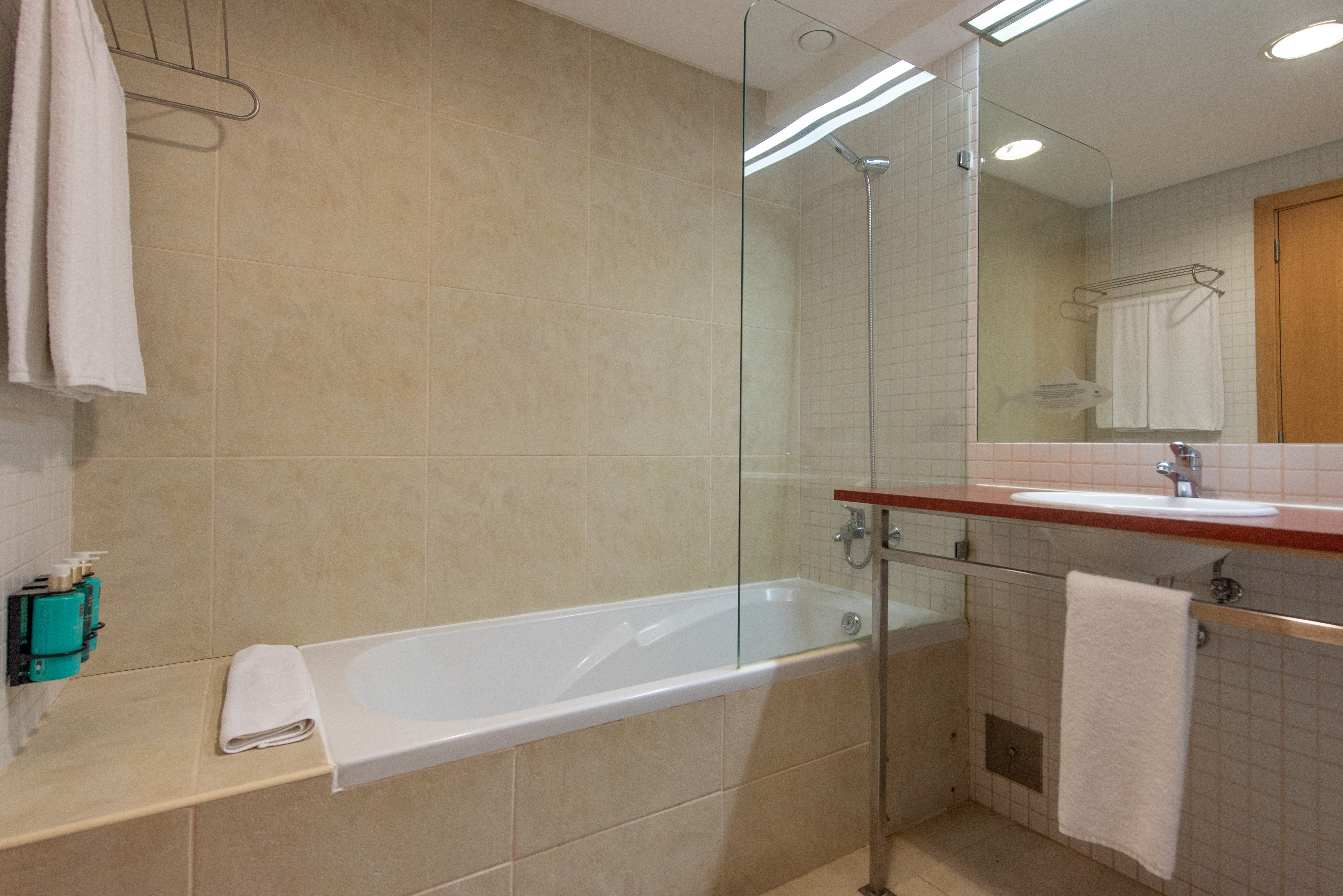 Apartment One Bedroom with Views