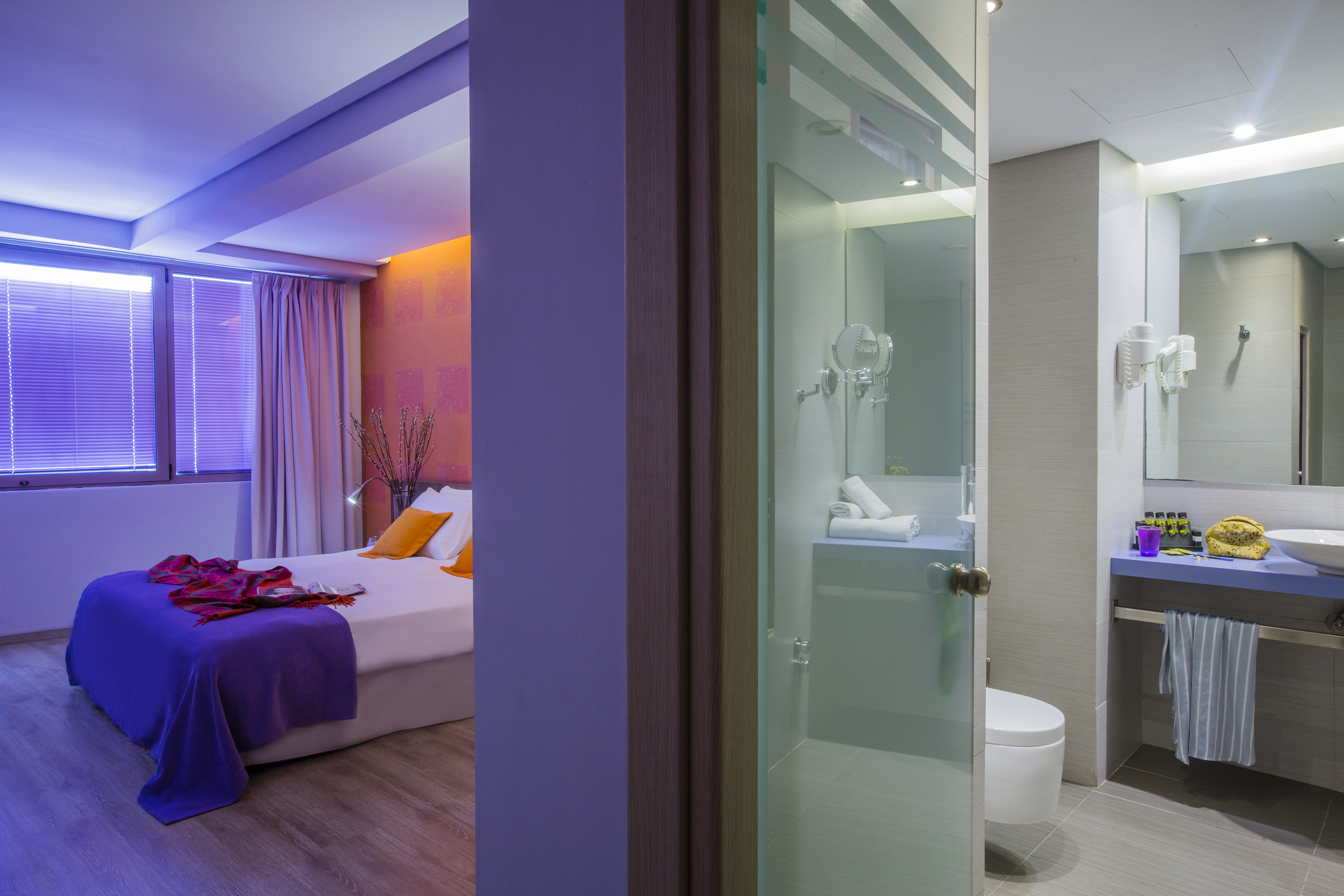 Double or Twin Executive