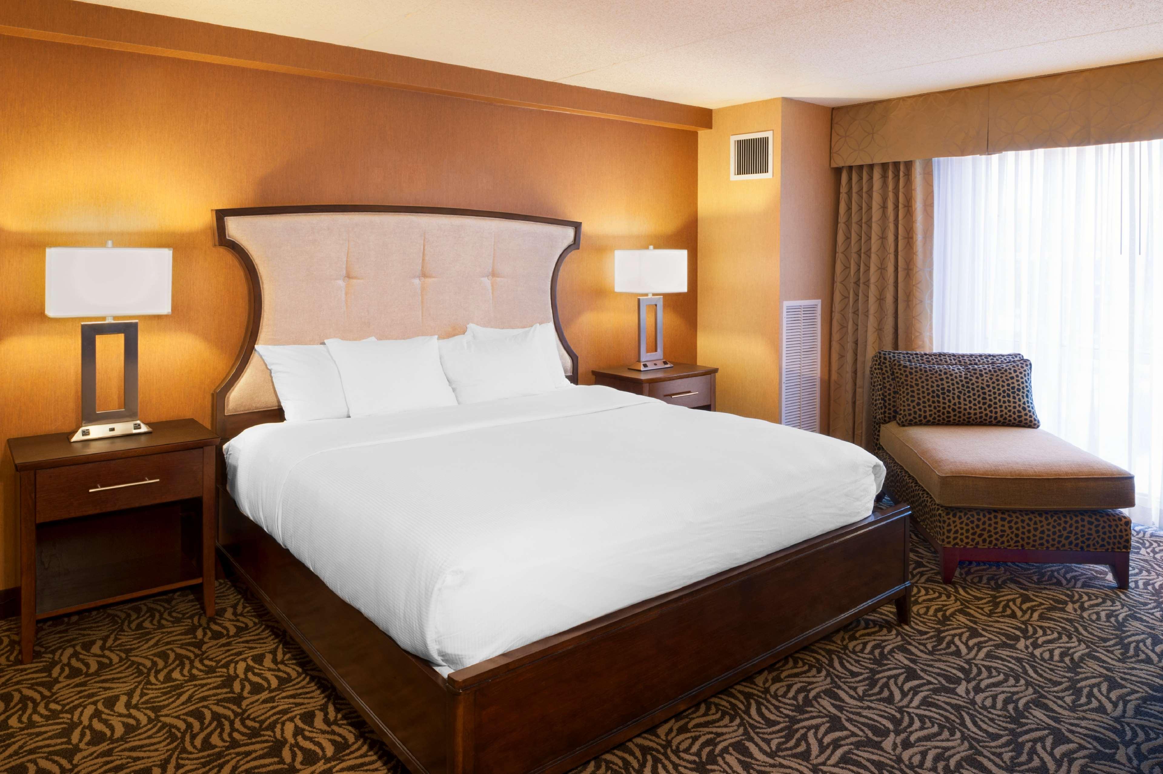 Double City View King Bed