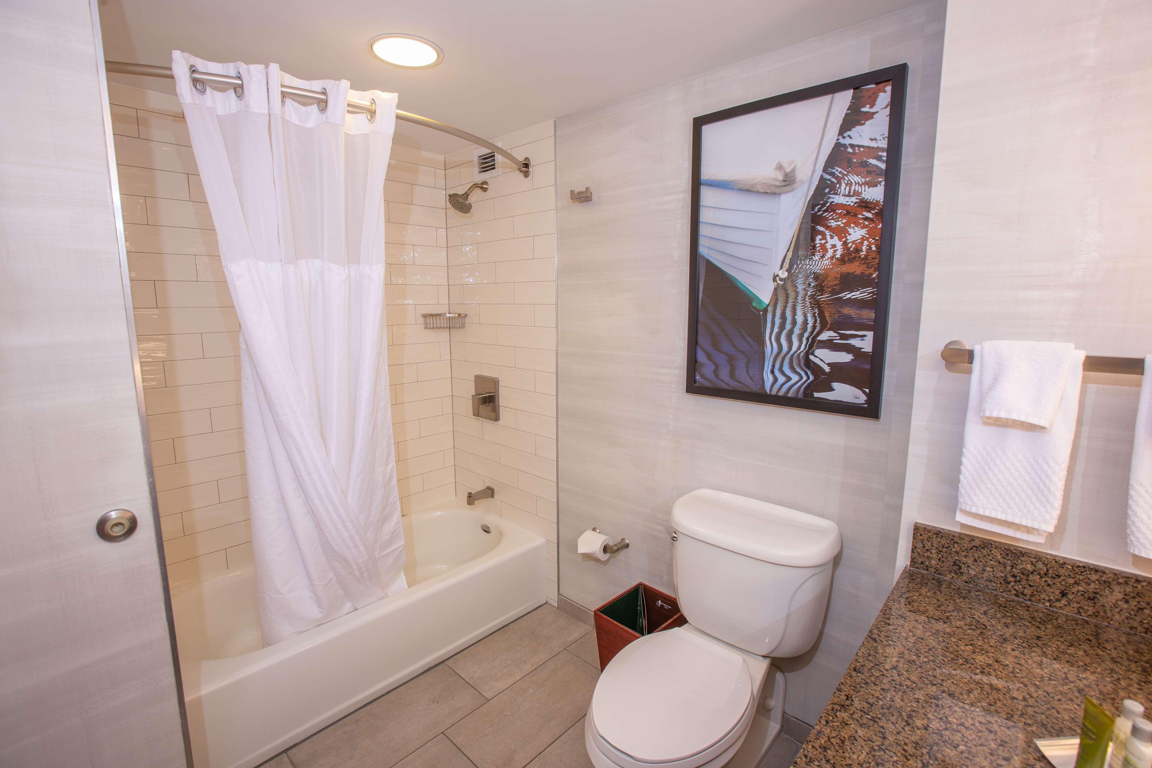 Double City View King Bed