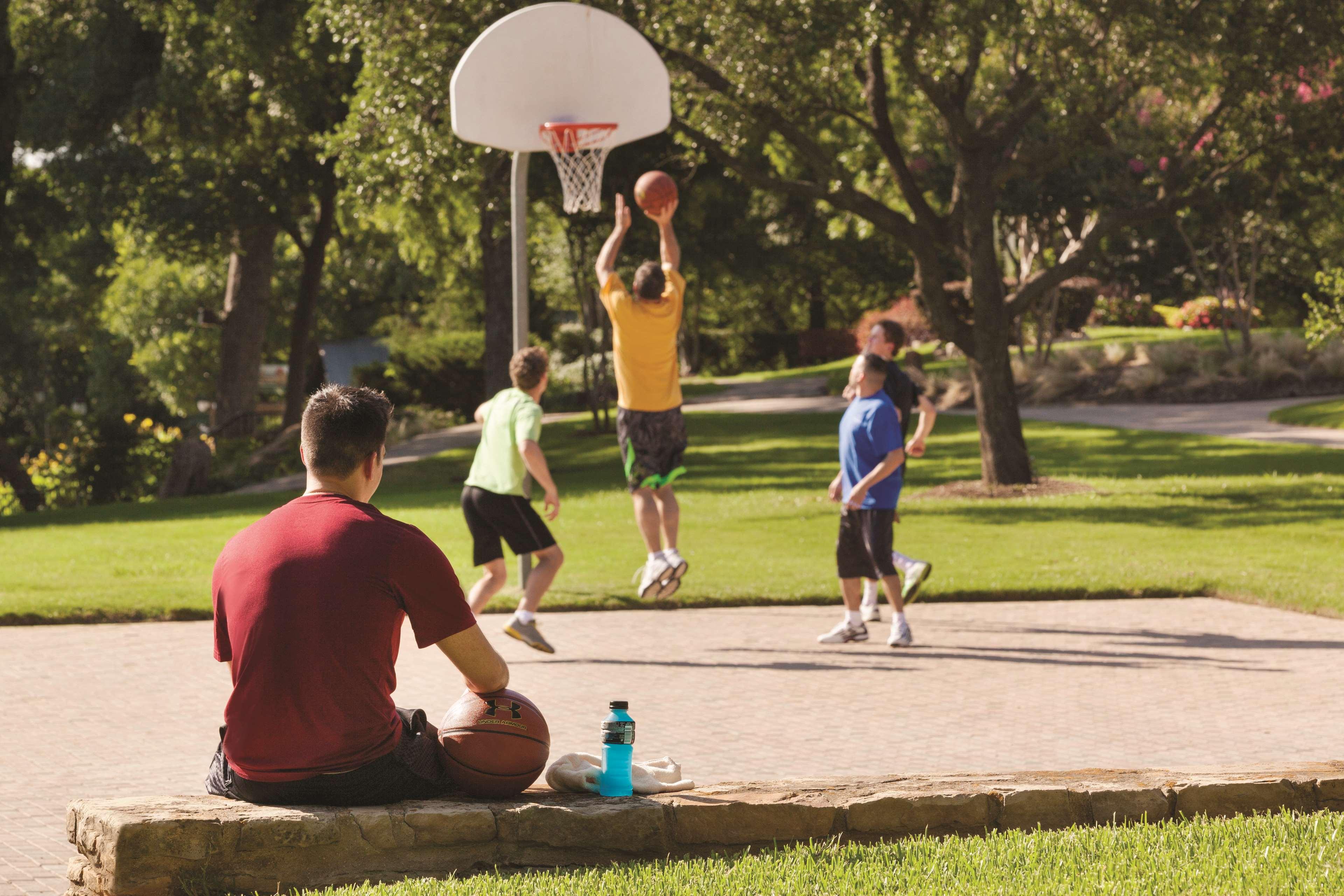 Sports and Entertainment