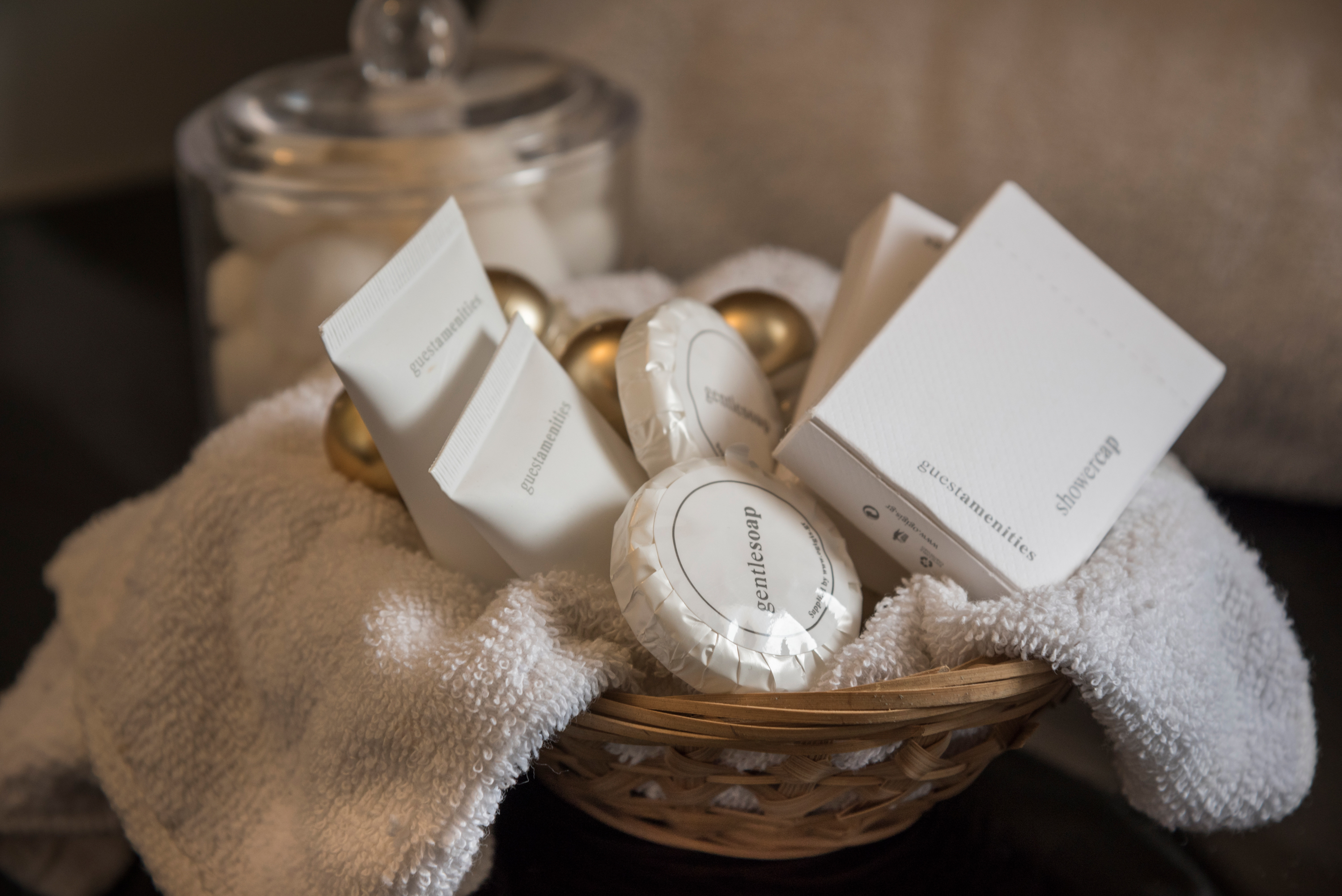 Family Room Standard