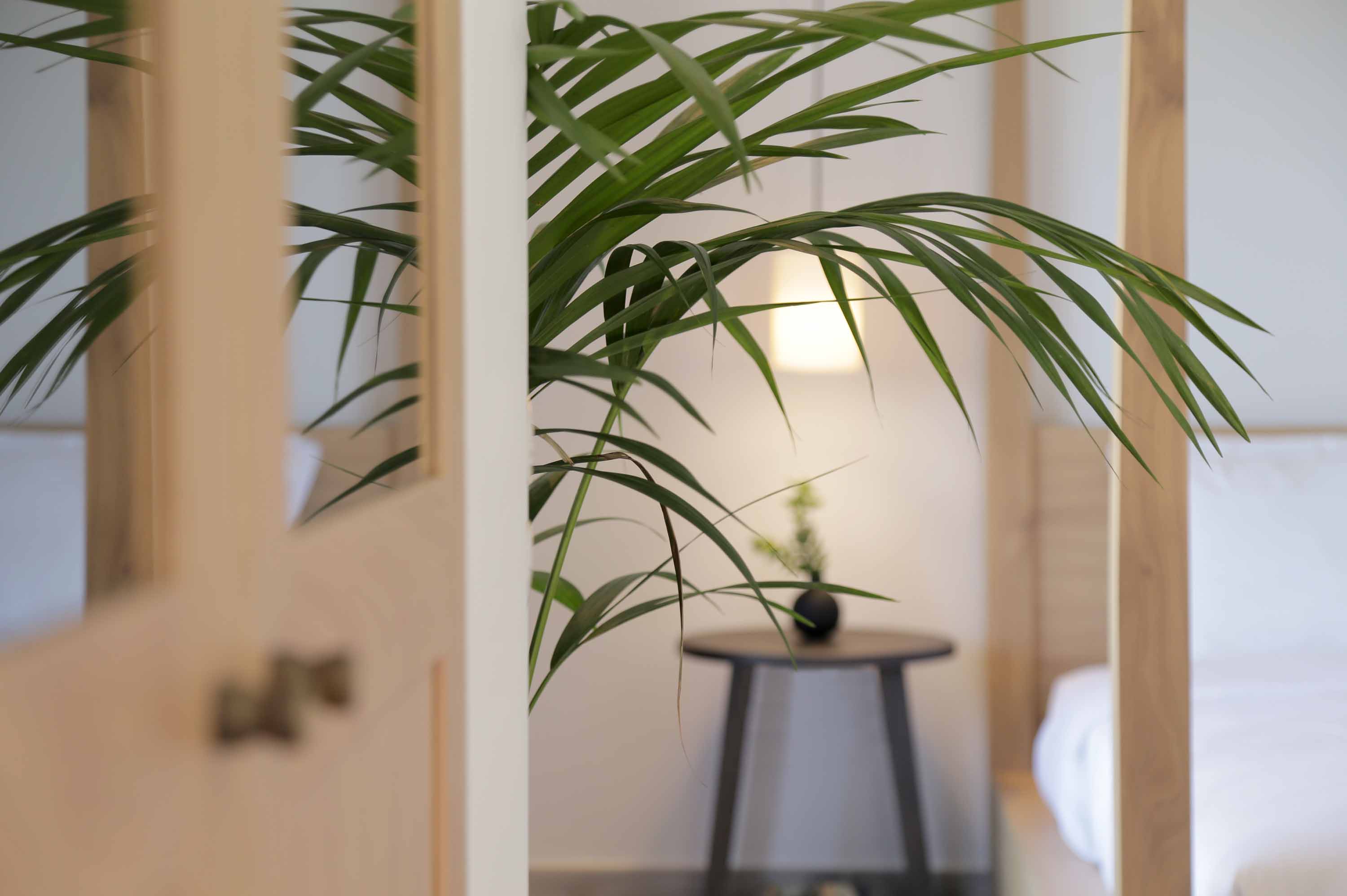 Junior Suite Sea View