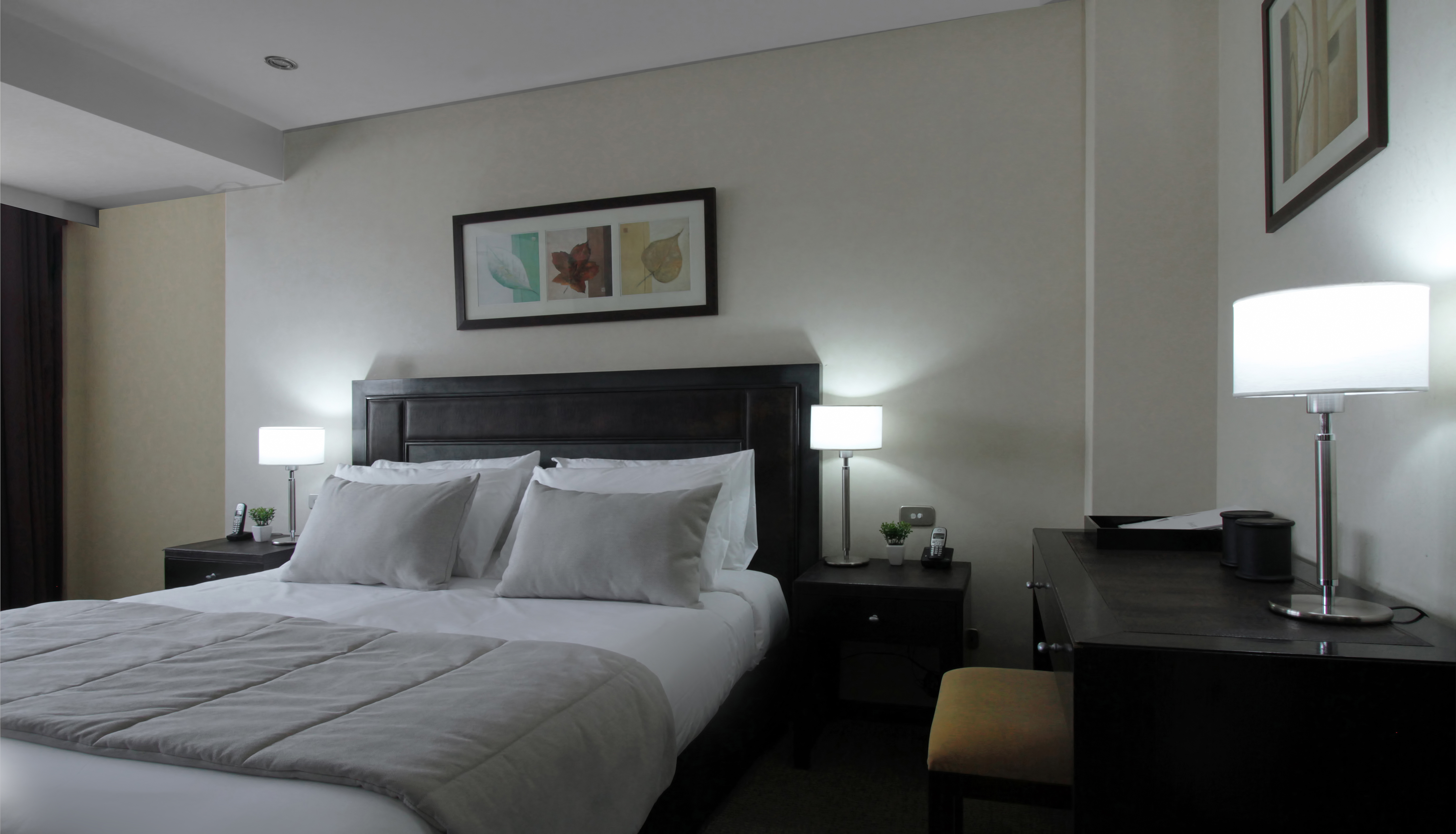 Double Executive Queen Bed