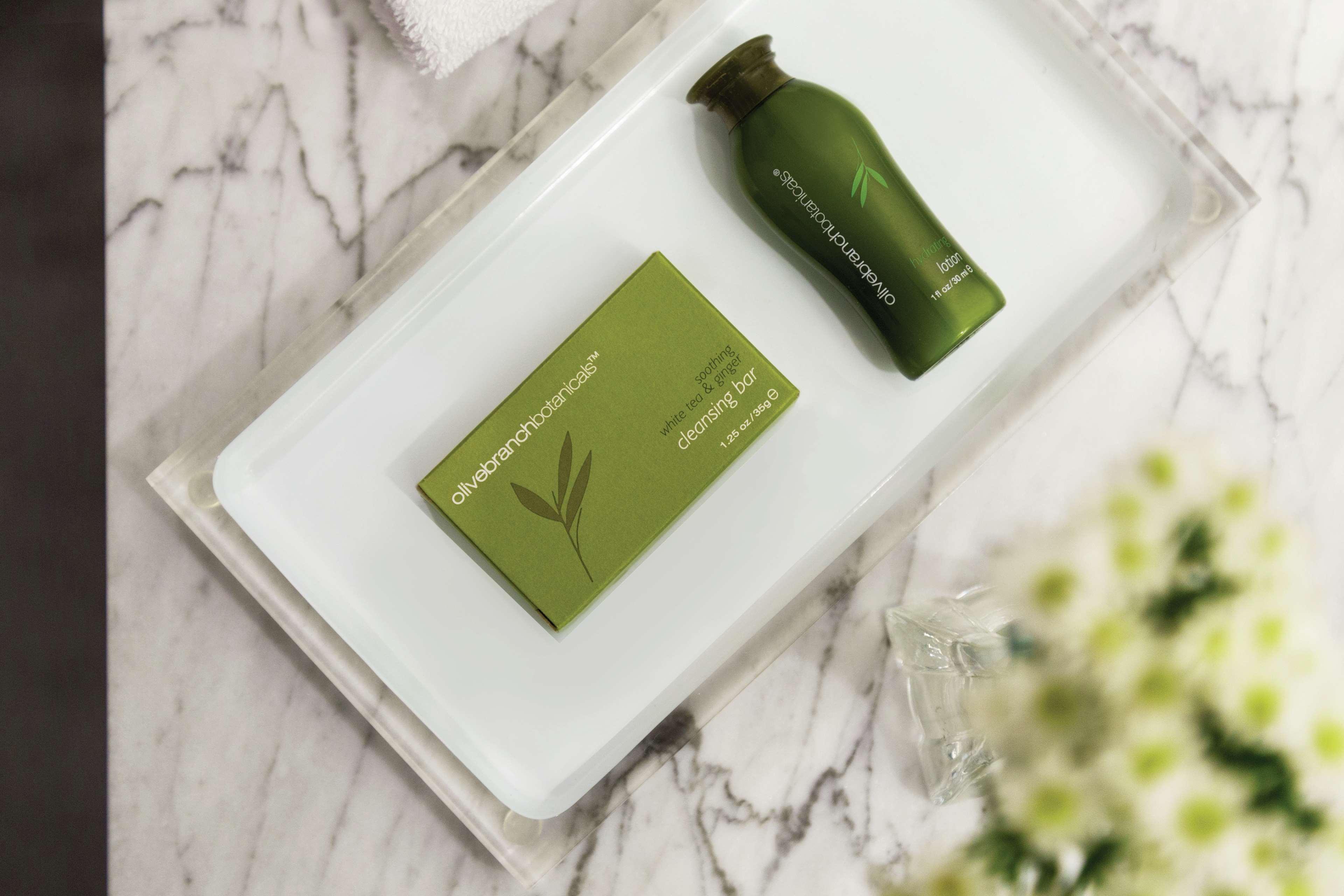 Suite Two Double Beds One Bedroom 