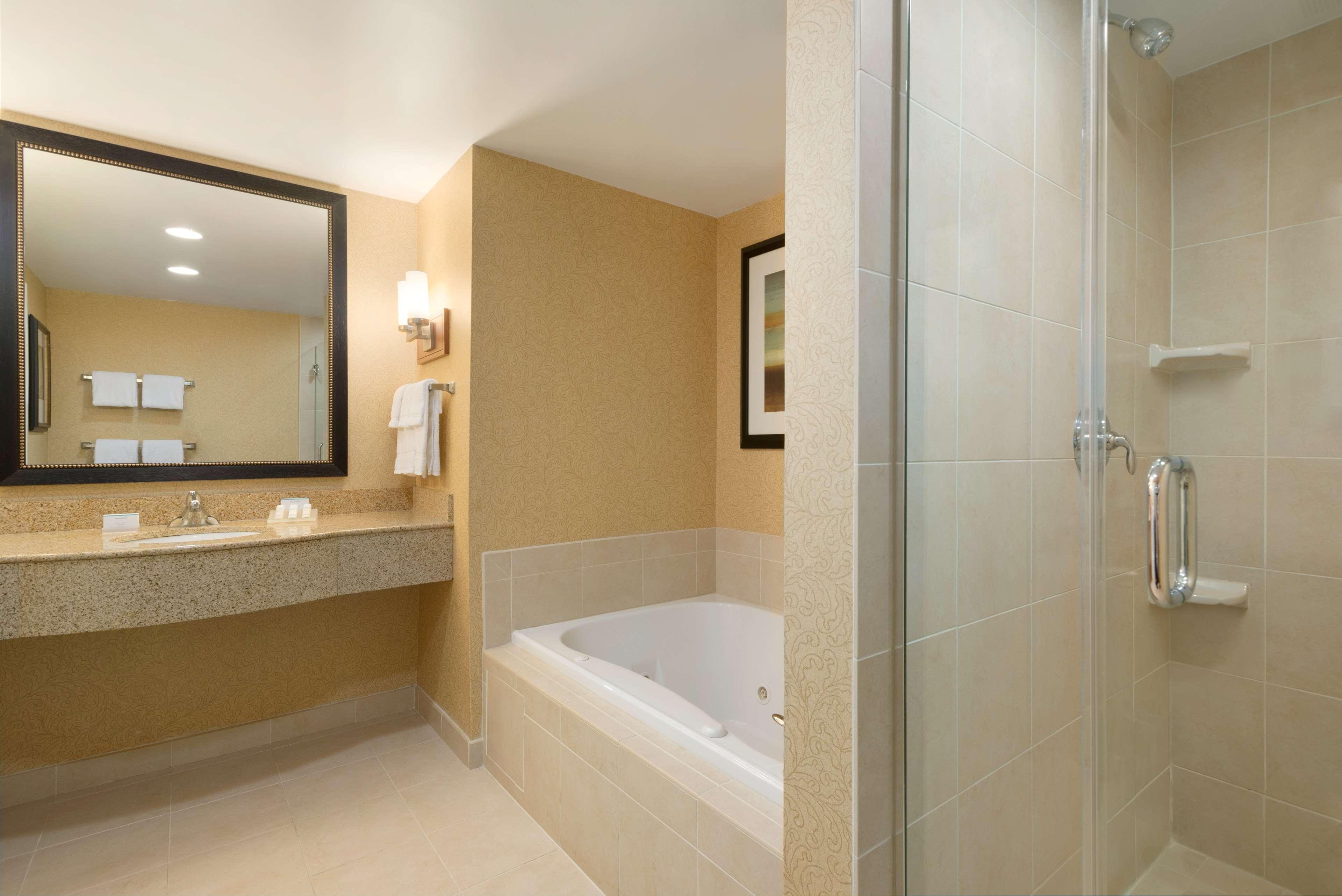 Suite King Bed One Bedroom 