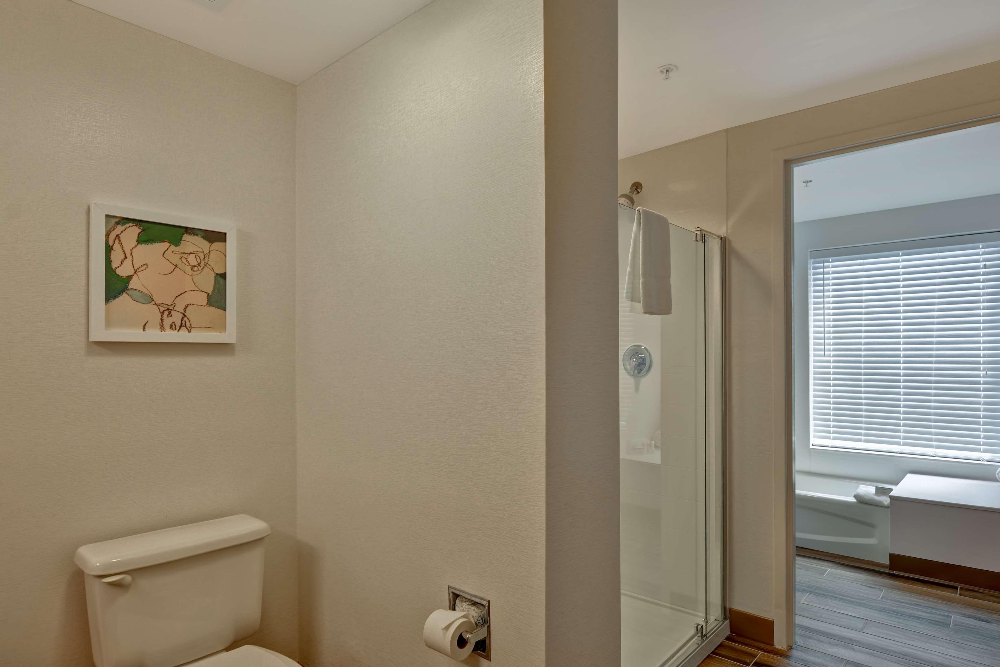 Suite King Bed Non Smoking