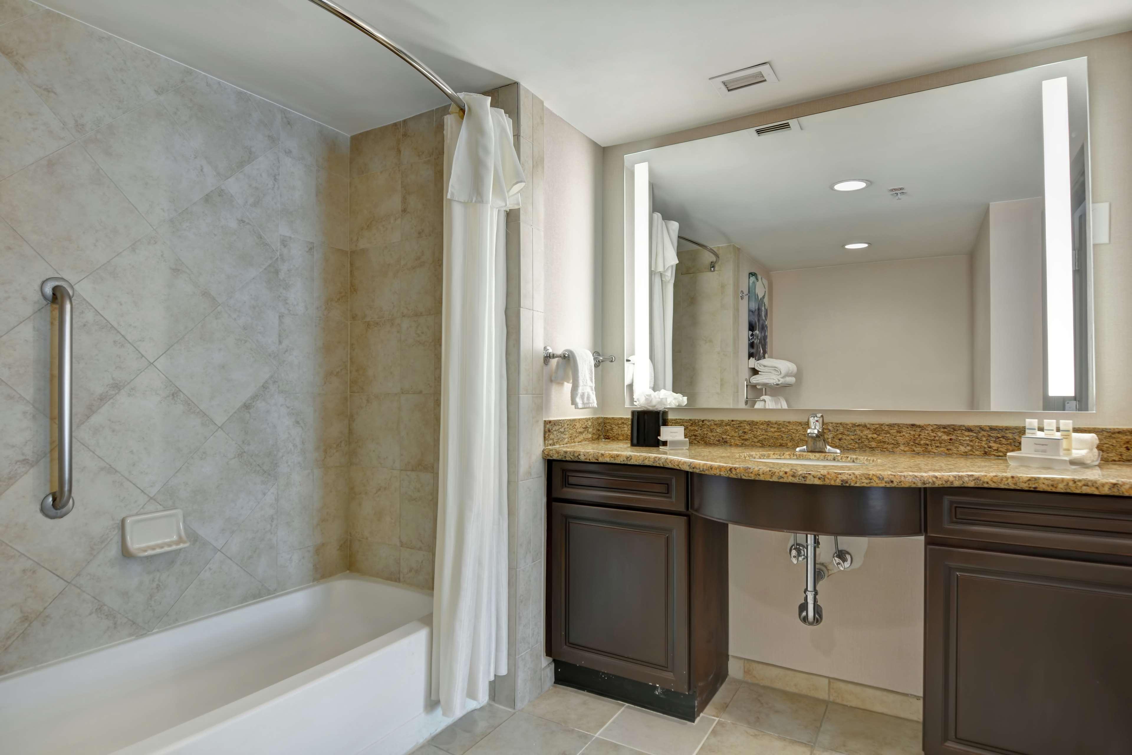 Suite King Bed One Bedroom 