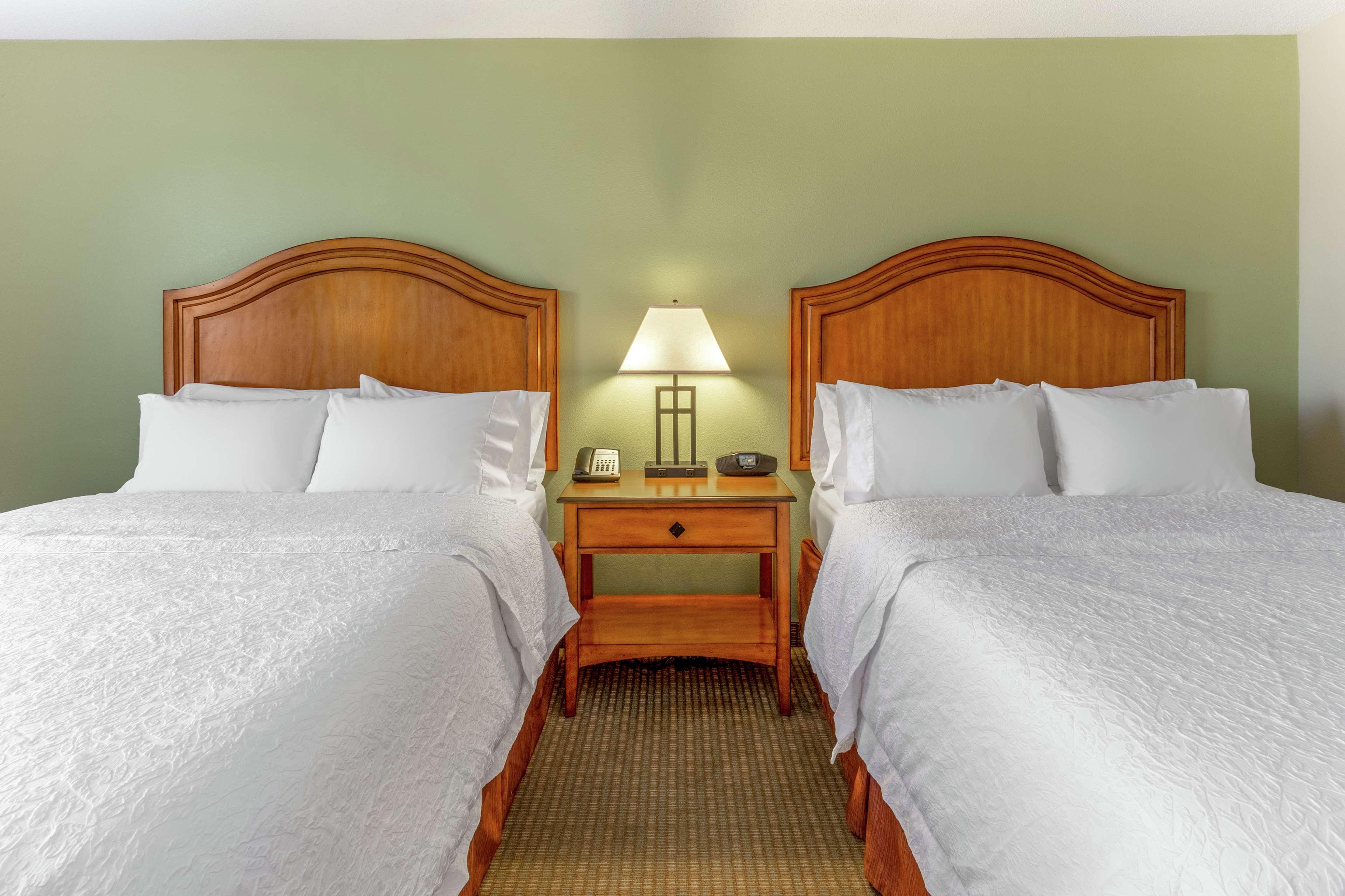 Double Two Queen Beds