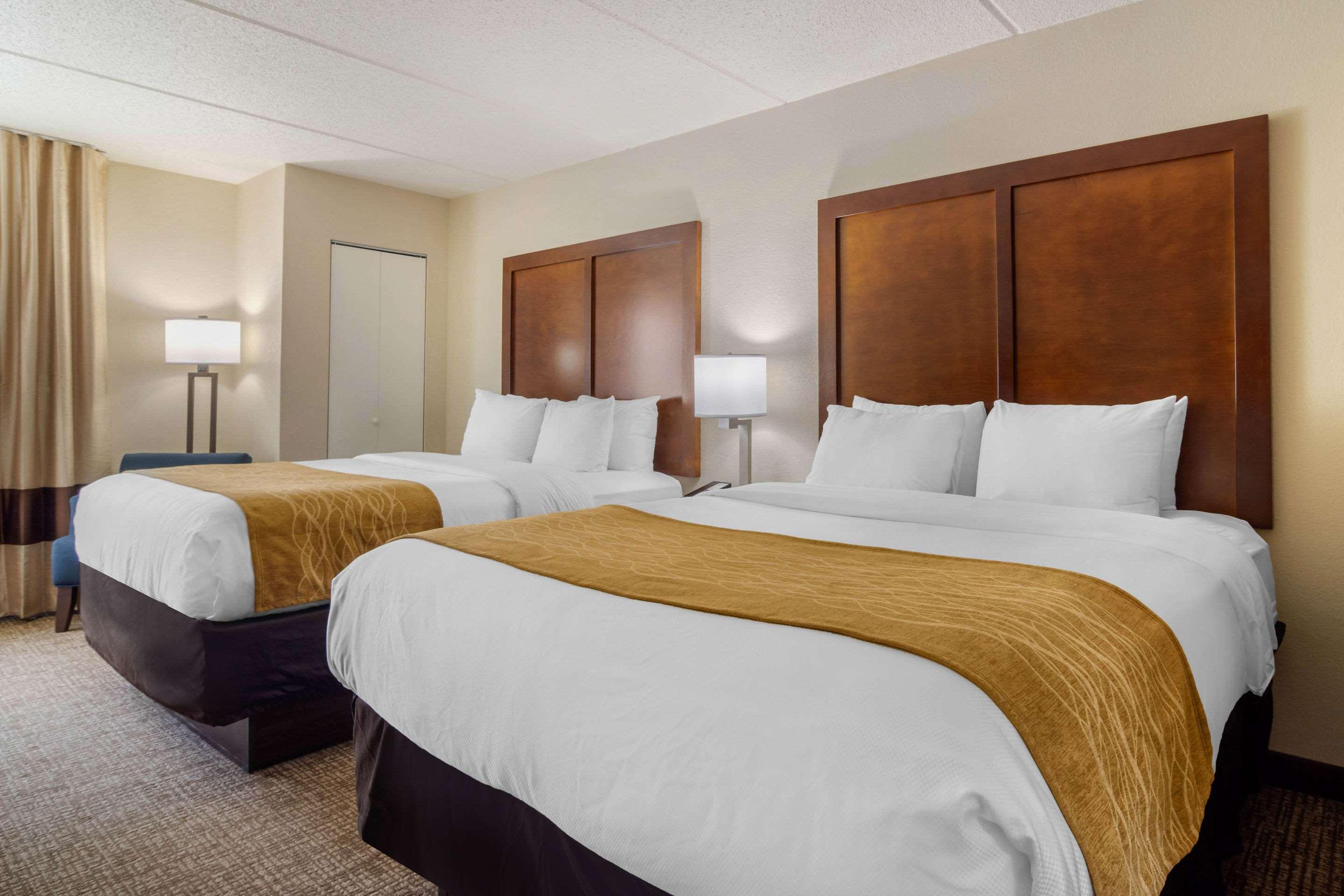 Double Two Queen Beds