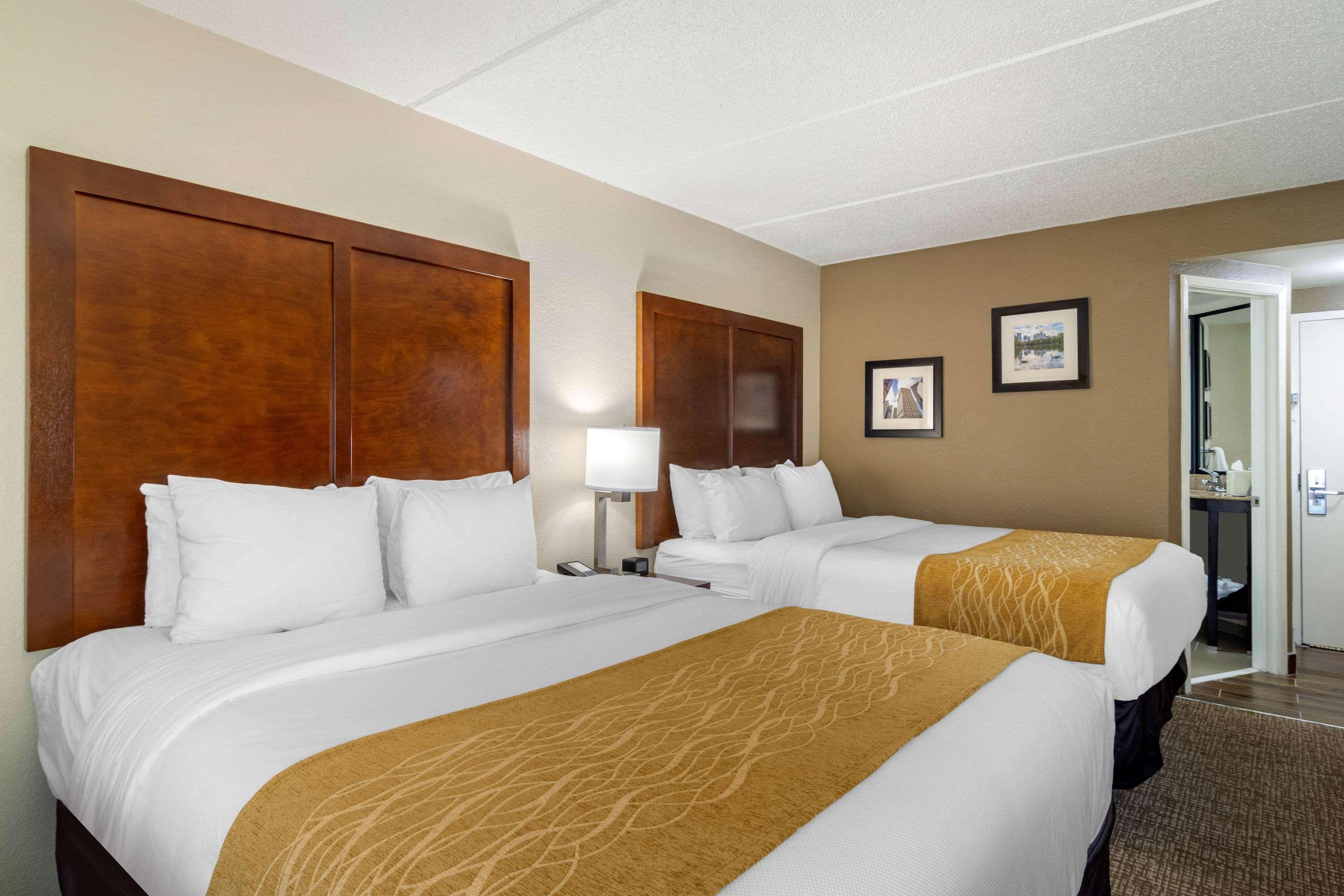 Double Two Queen Beds