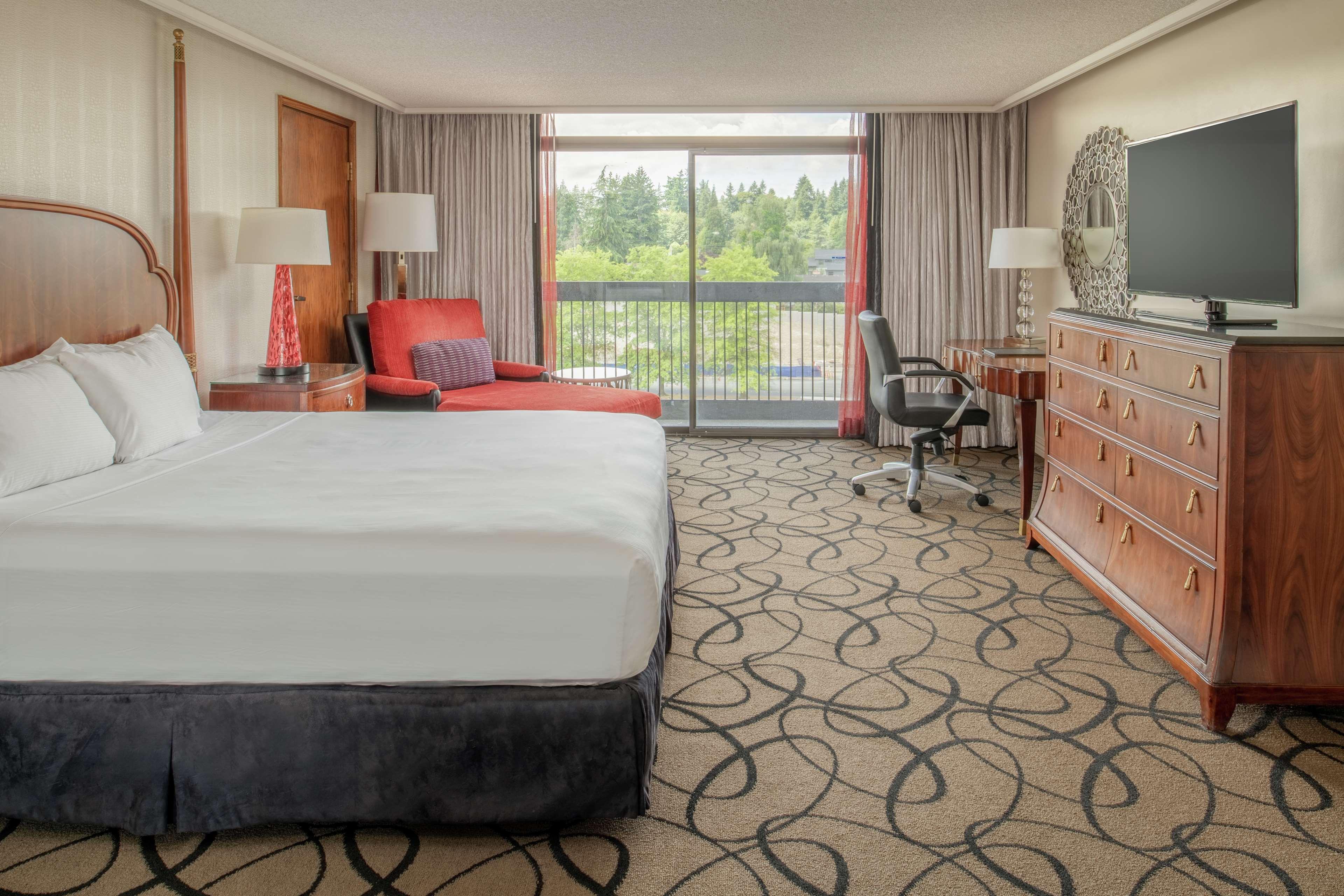 Suite King Bed One Bedroom 