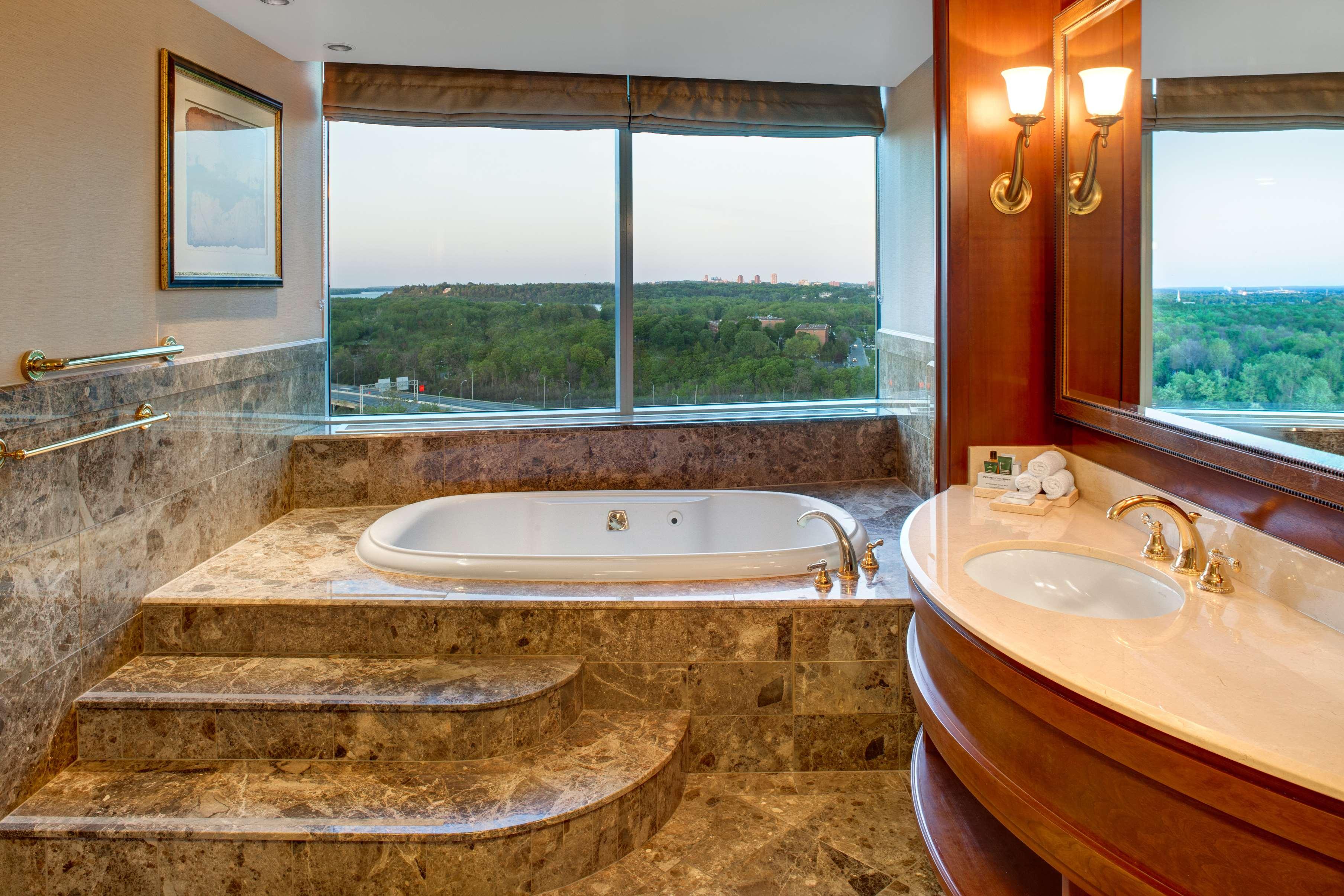 Suite King Bed One Bedroom 