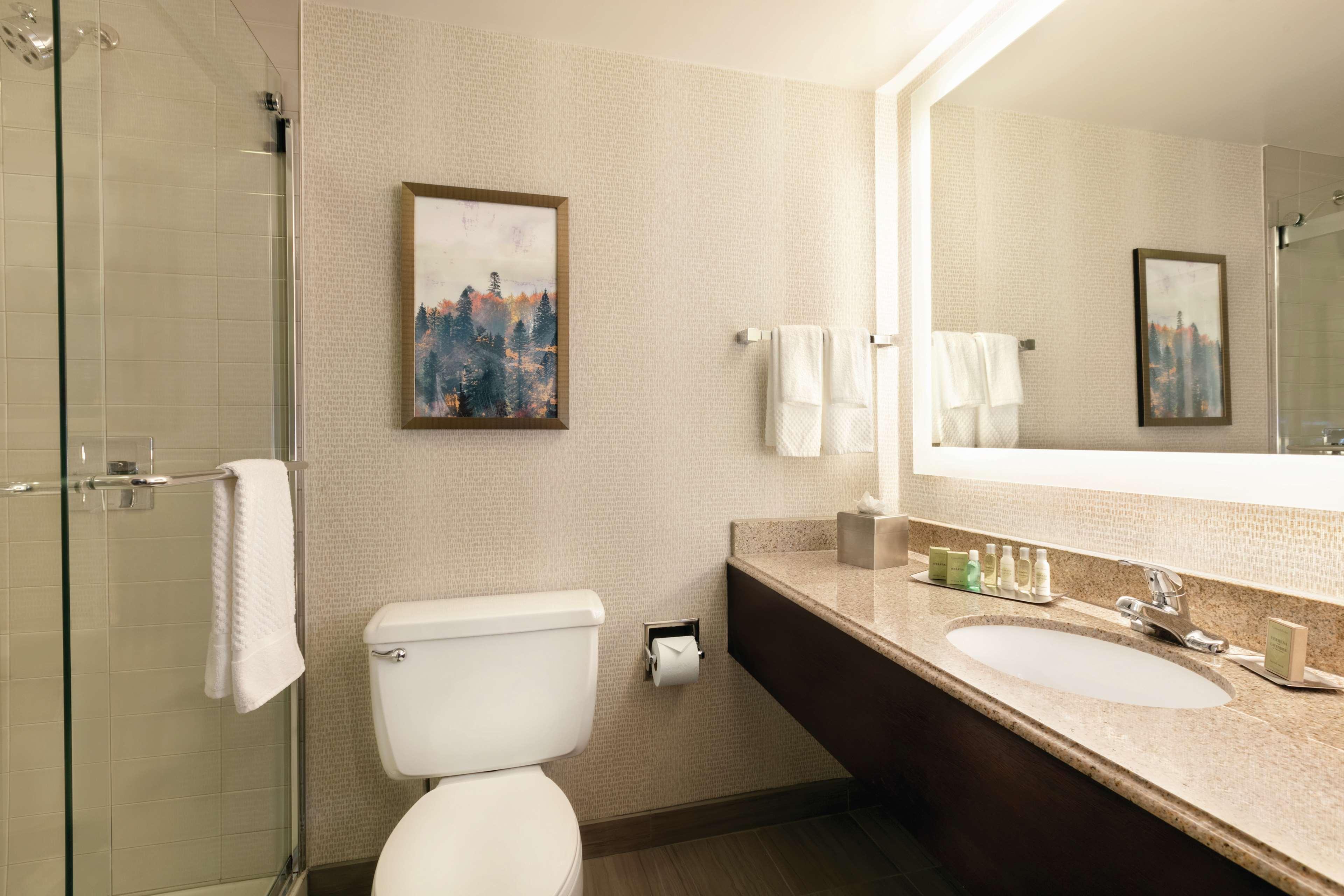 Double King Bed Non Smoking