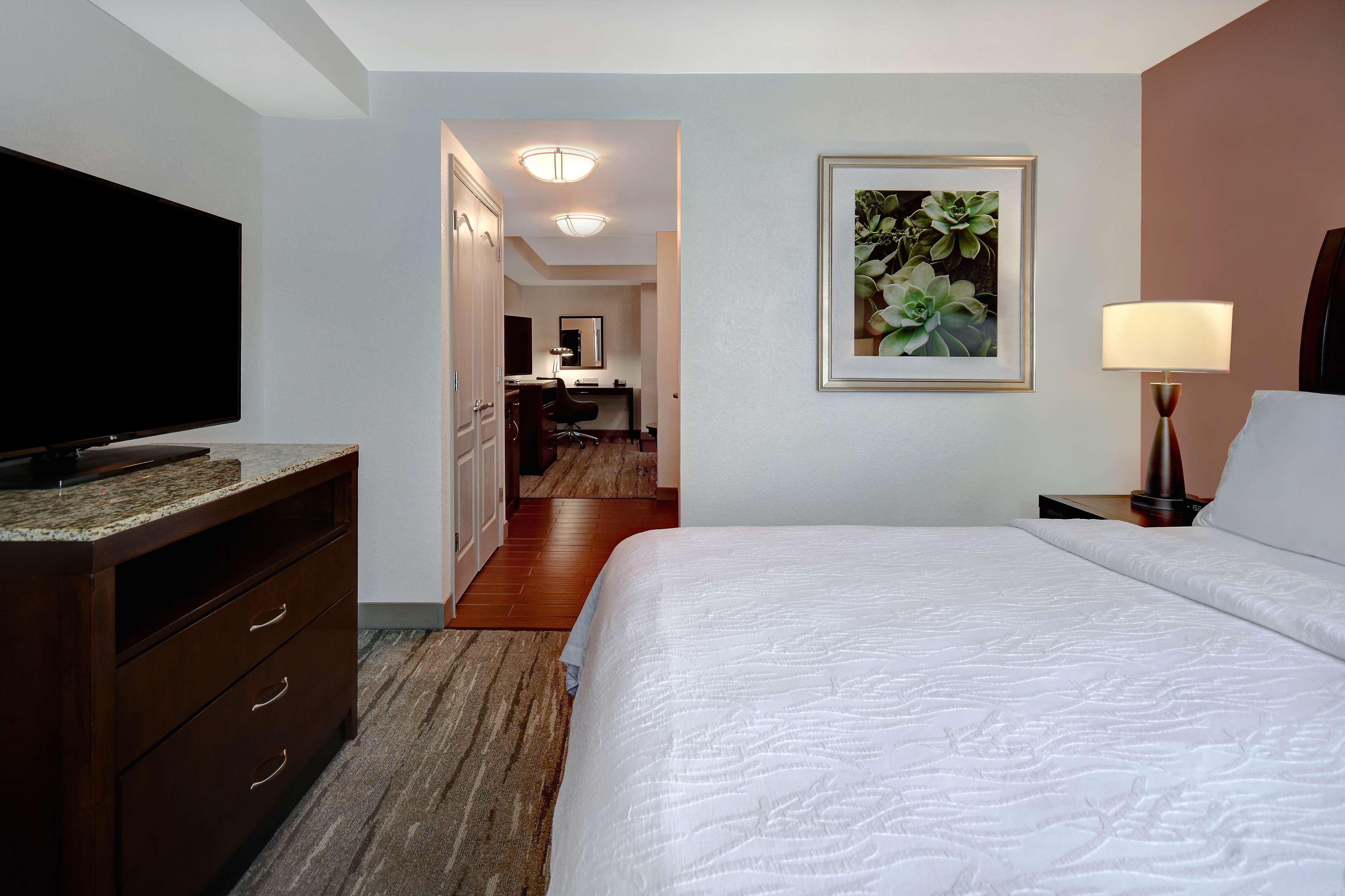 Suite King Bed One Bedroom 