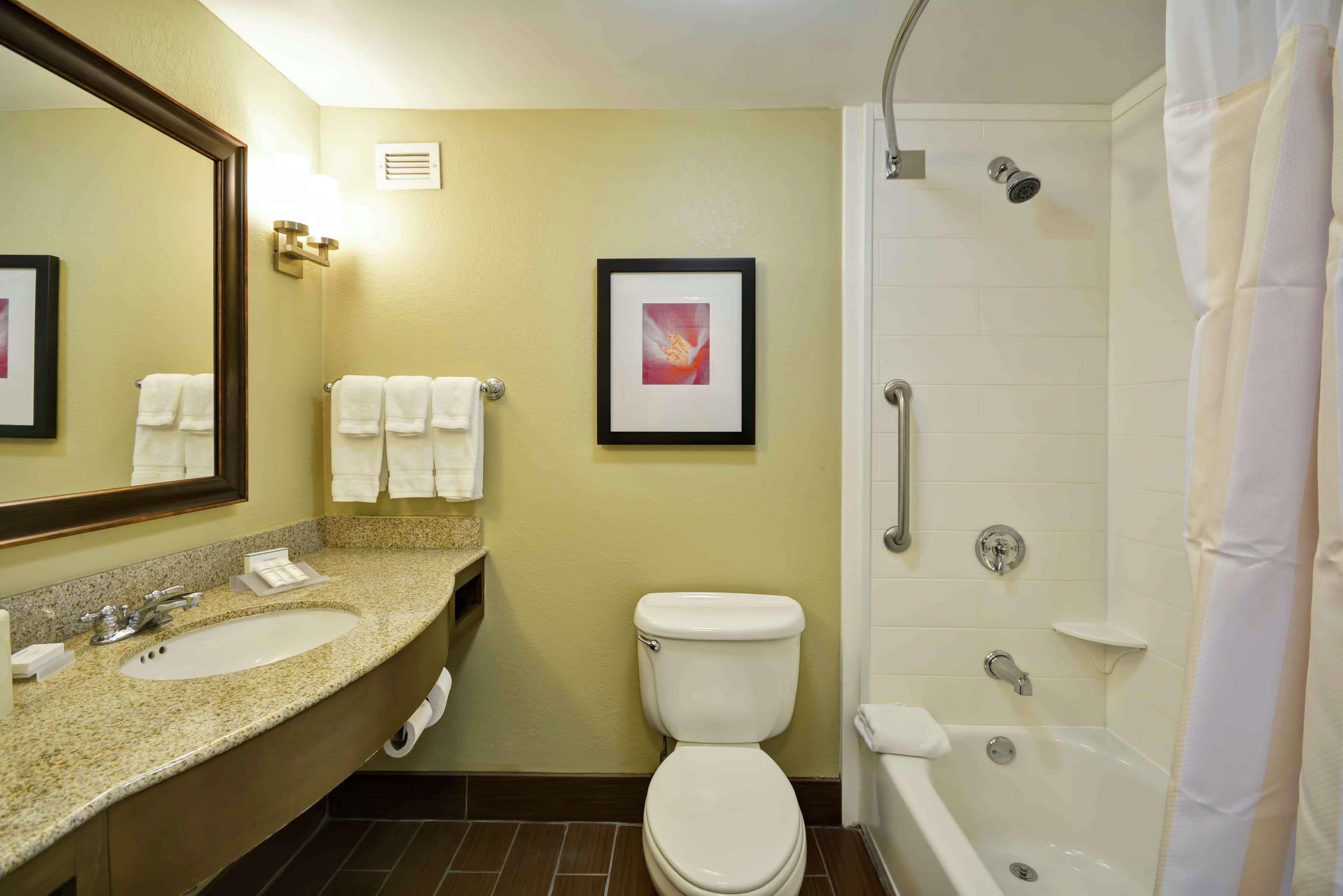 Suite King Bed One Bedroom 