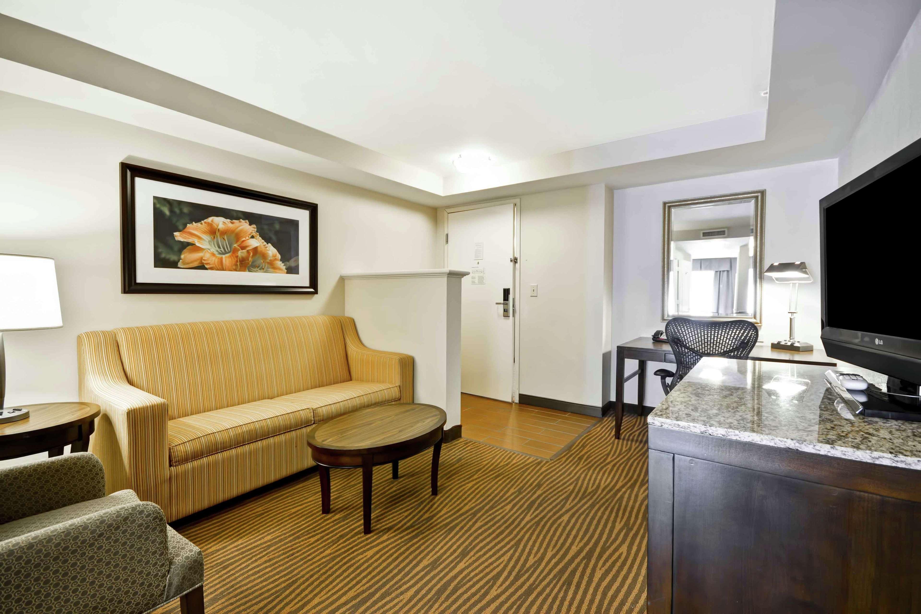 Suite King Bed One Bedroom 