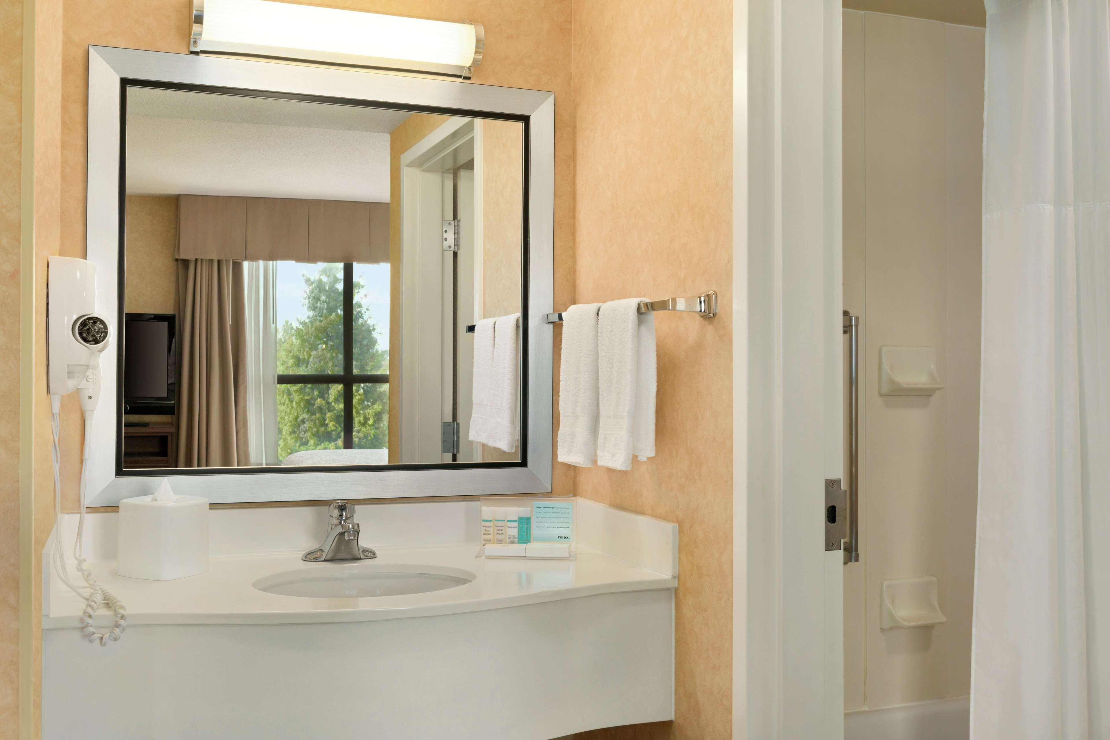 Suite King Bed One Bedroom 