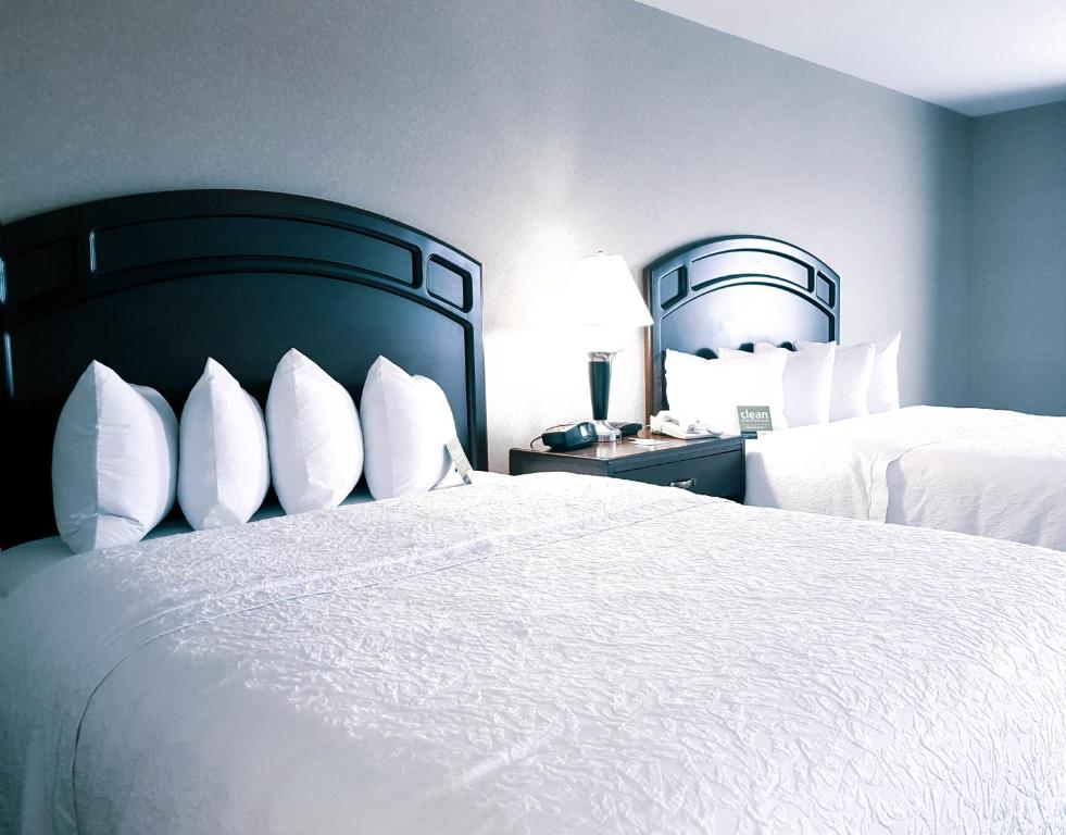 Double Two Queen Beds