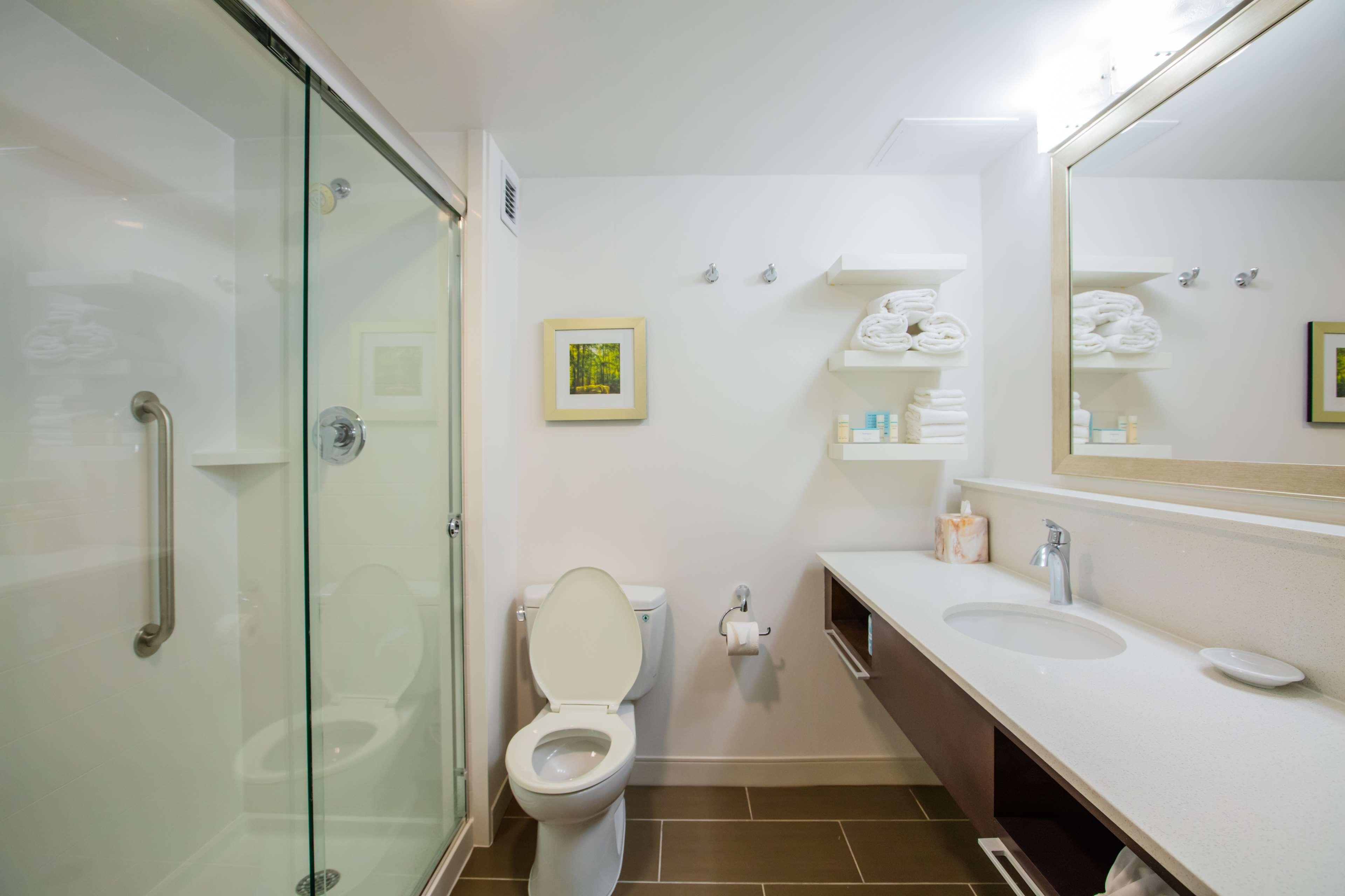 Room King Bed Non Smoking