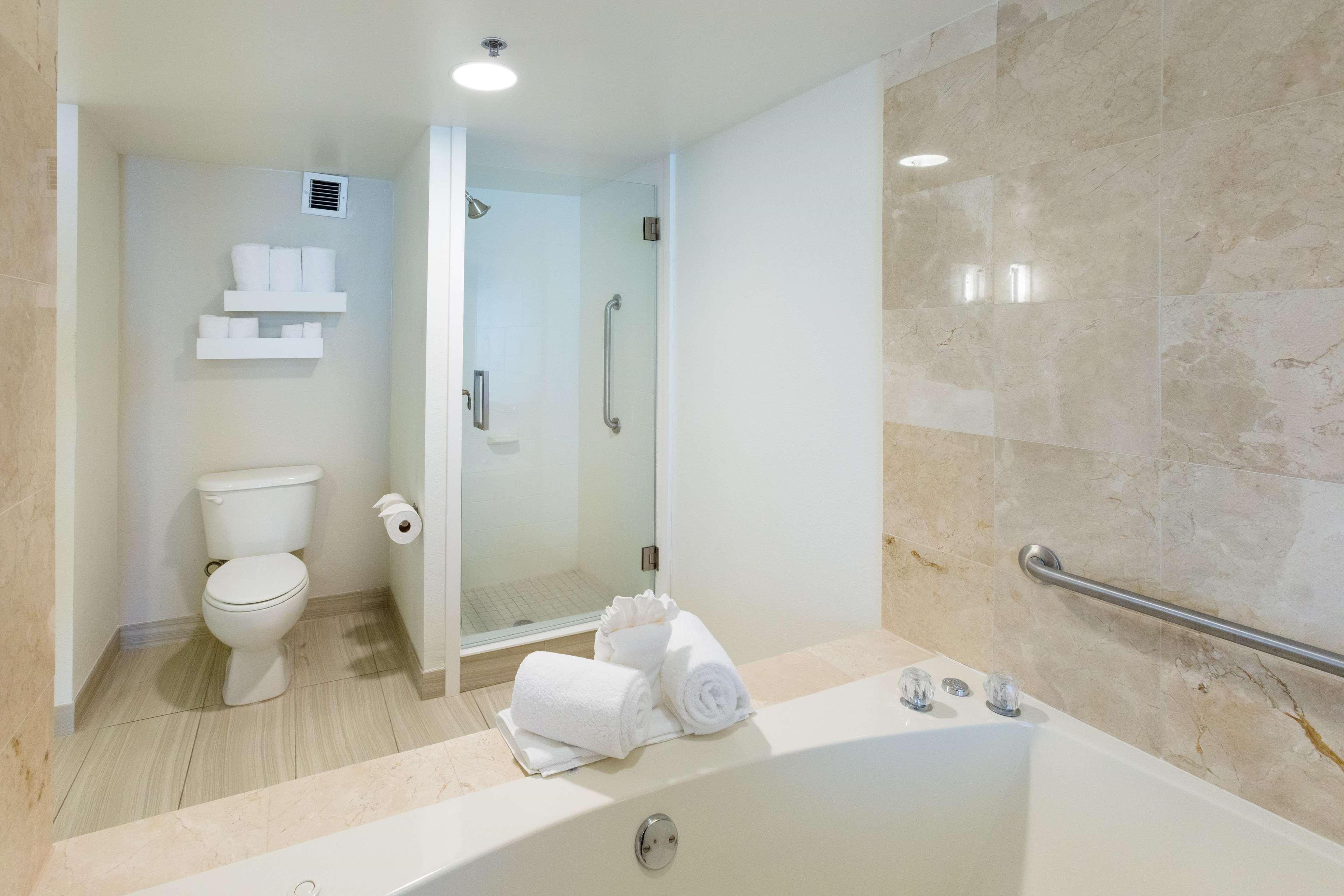 Suite Deluxe One Bedroom